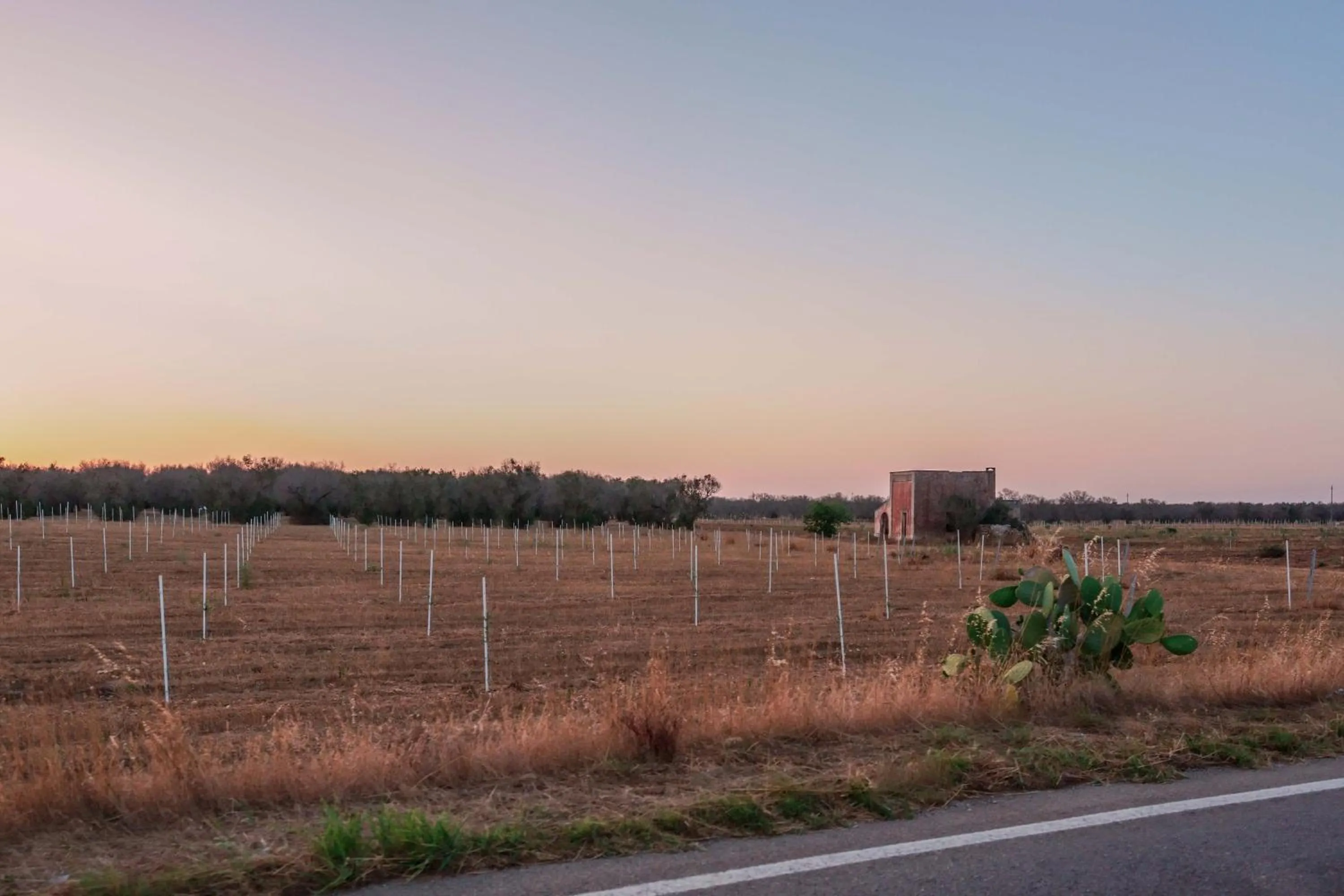 Natural landscape in Antico Frantoio Cairoli B&B Exclusive Room