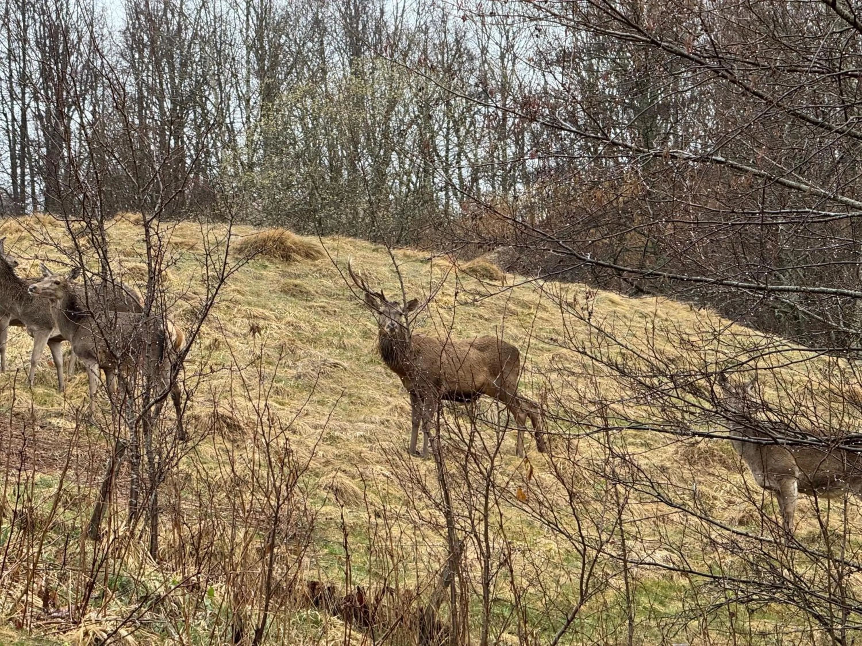 Hôtel - Restaurant Le Couchetat