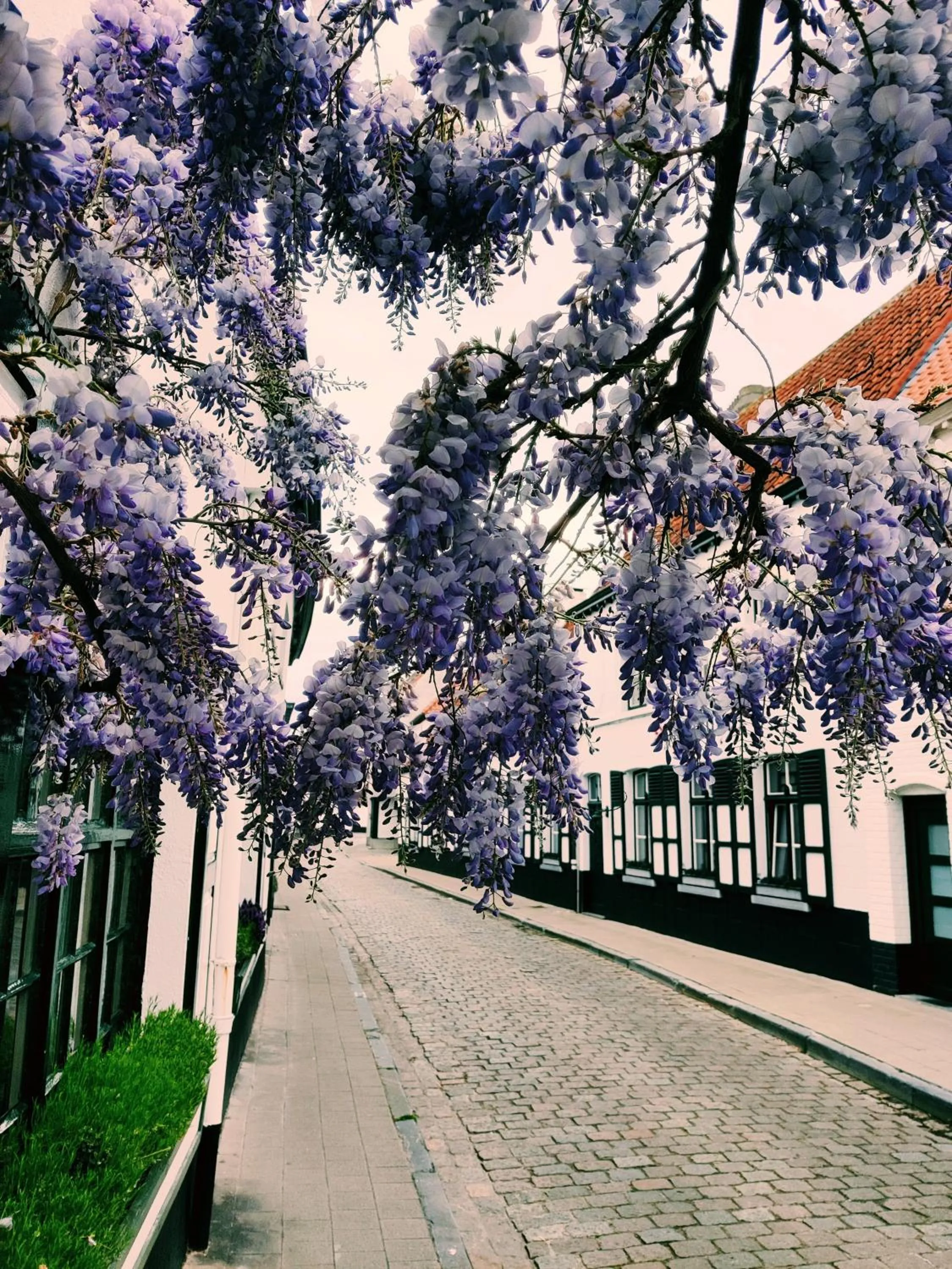 Area and facilities in B&B Lisdodde