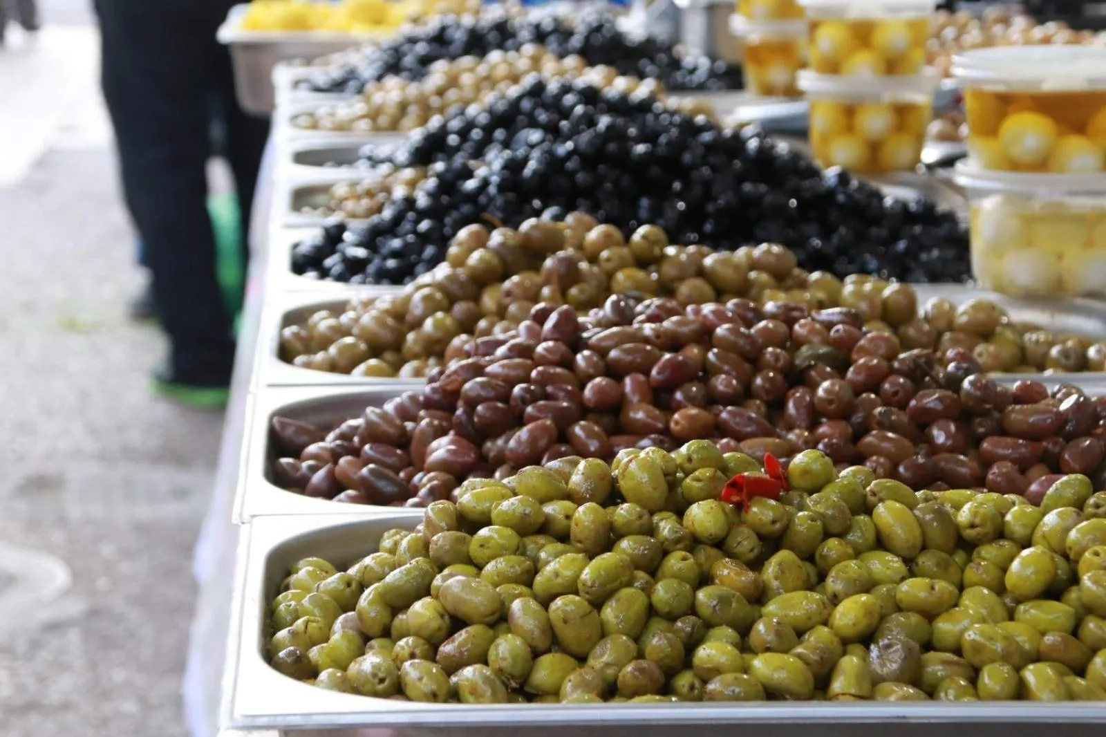 Area and facilities in Hotel Loui Talpiot