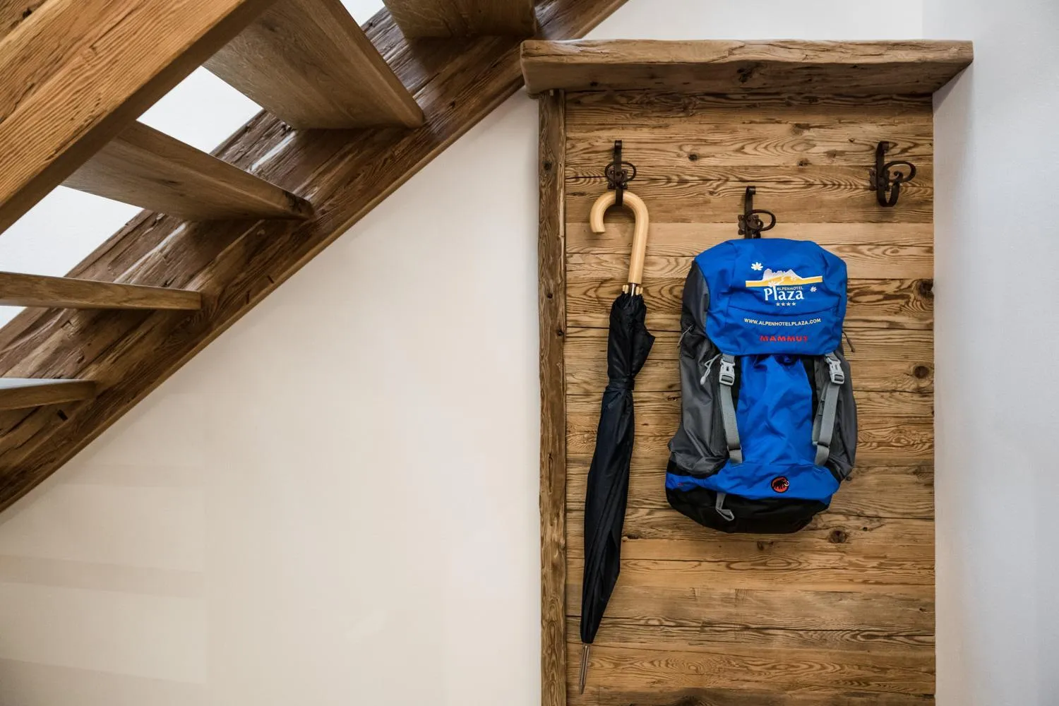 Area and facilities in Alpenhotel Plaza