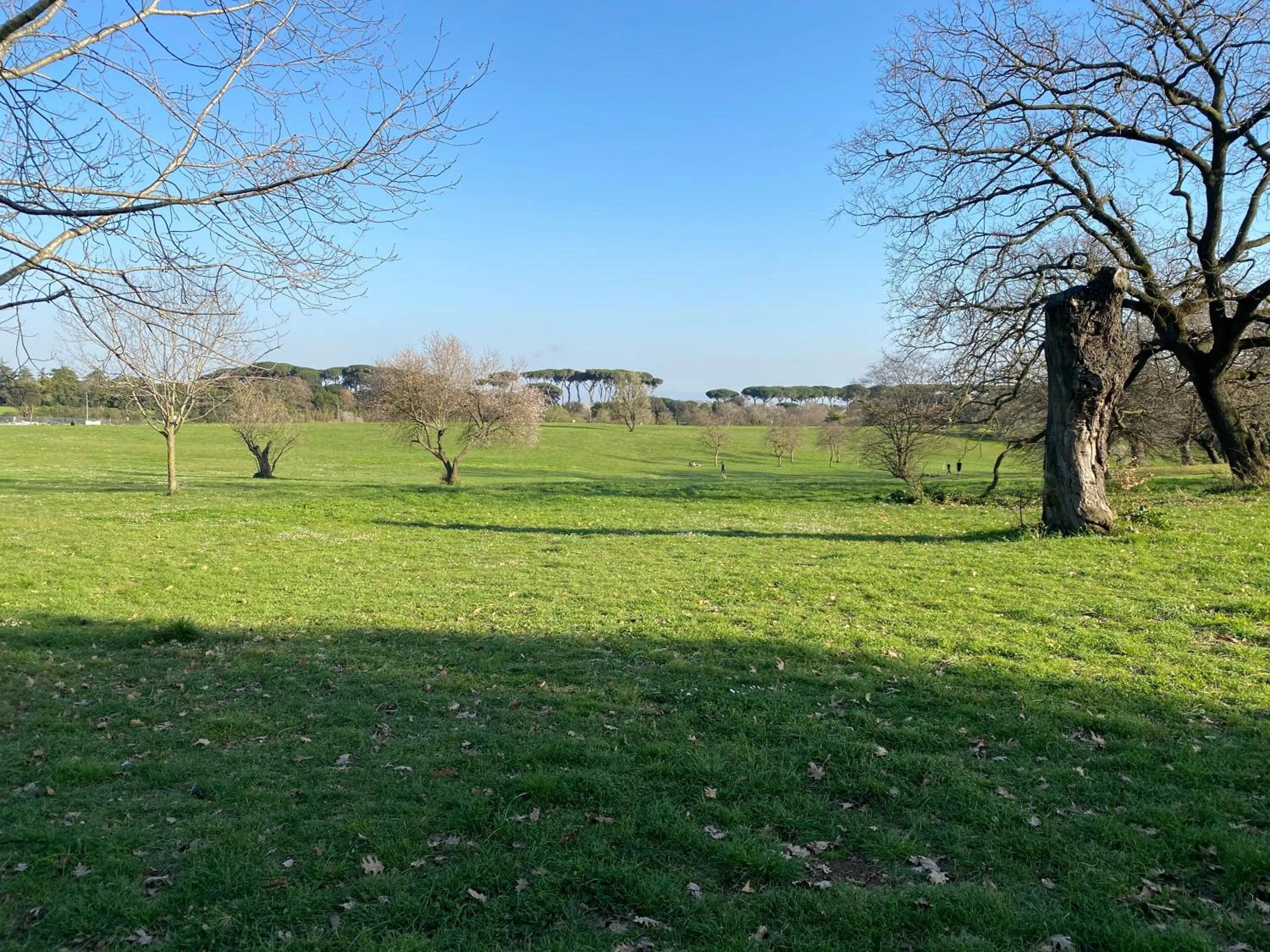 Natural landscape in Domum Vaticani