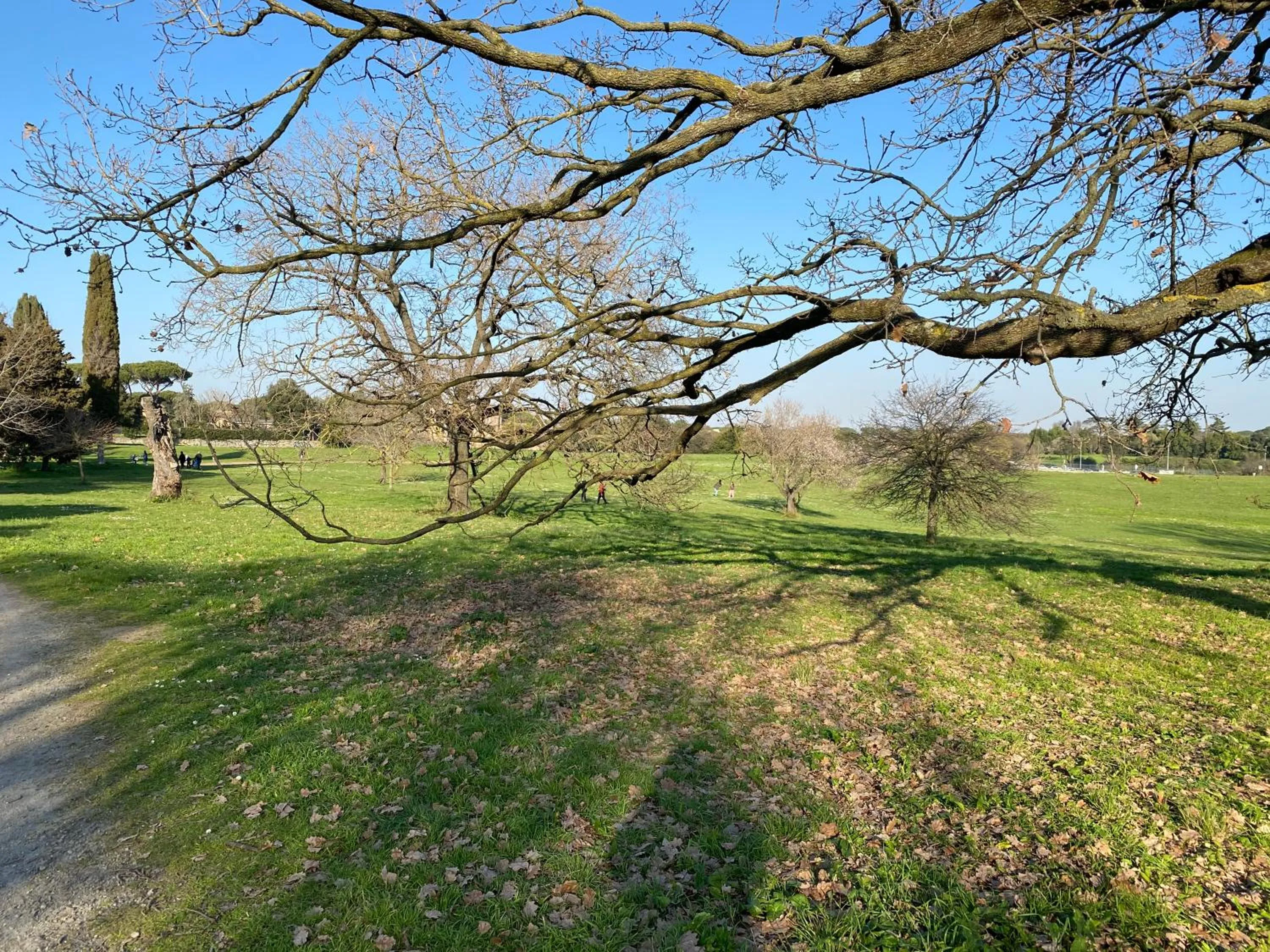 Cycling in Domum Vaticani