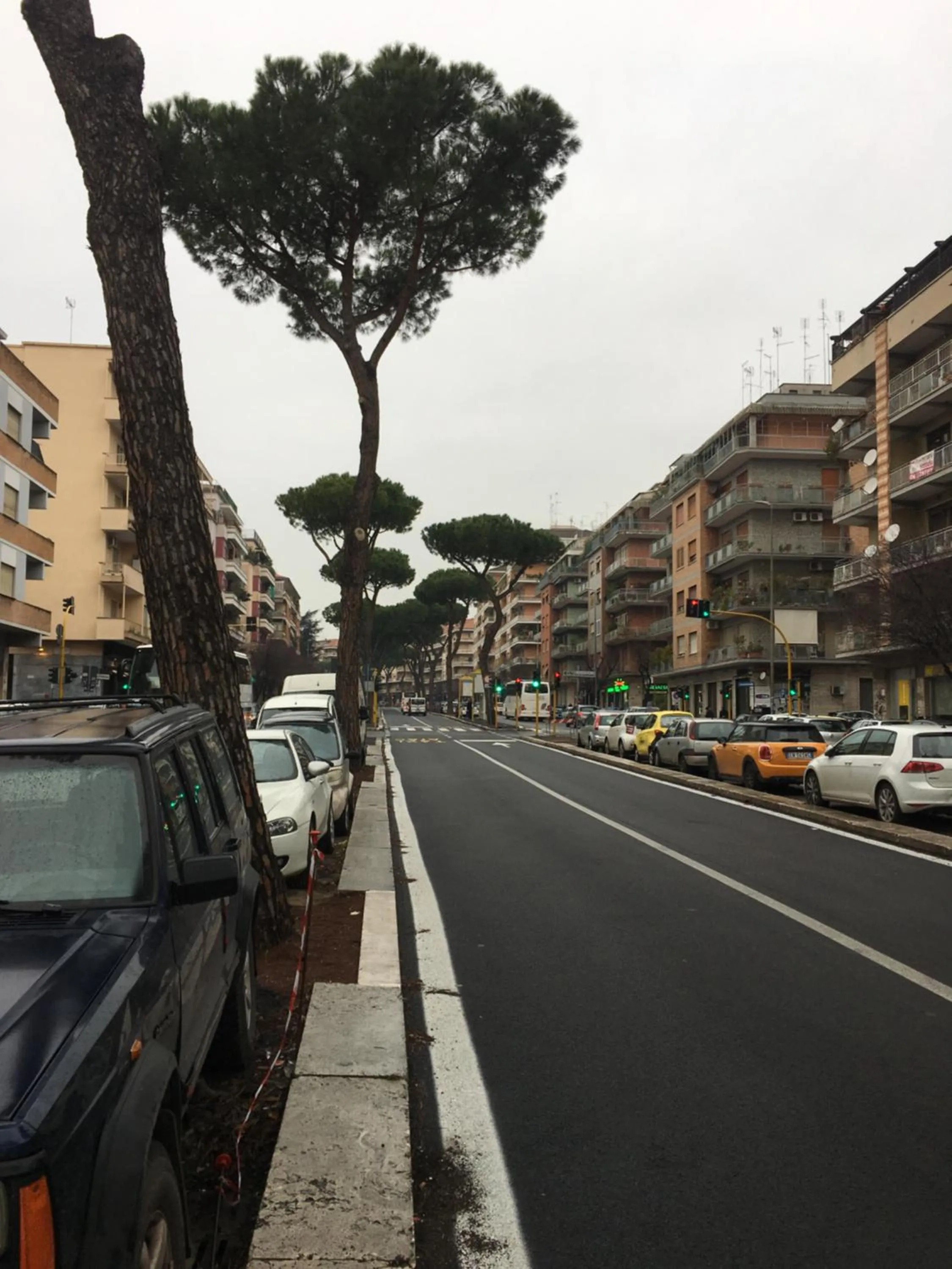 Neighbourhood in Domum Vaticani