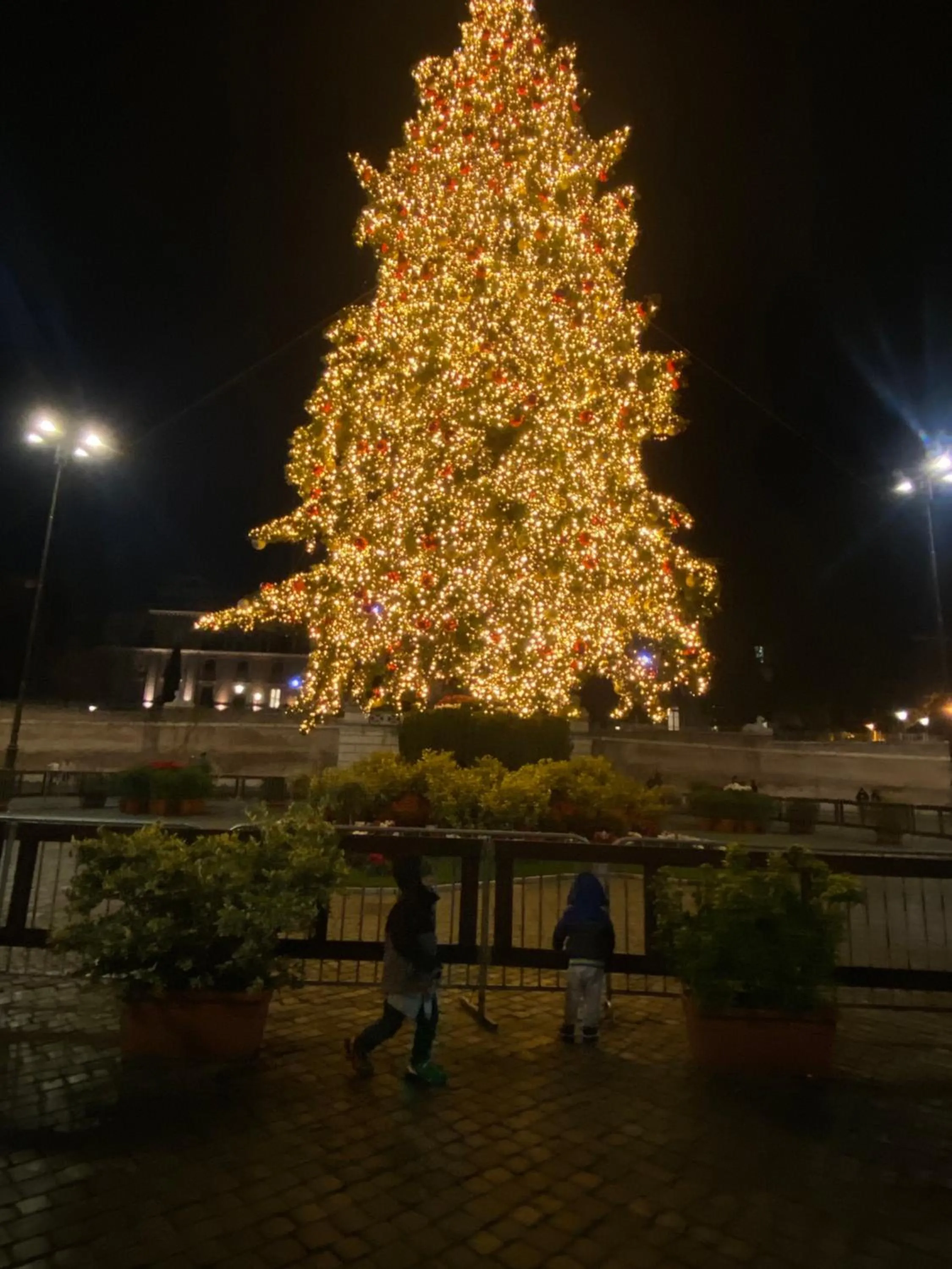 Night in Domum Vaticani