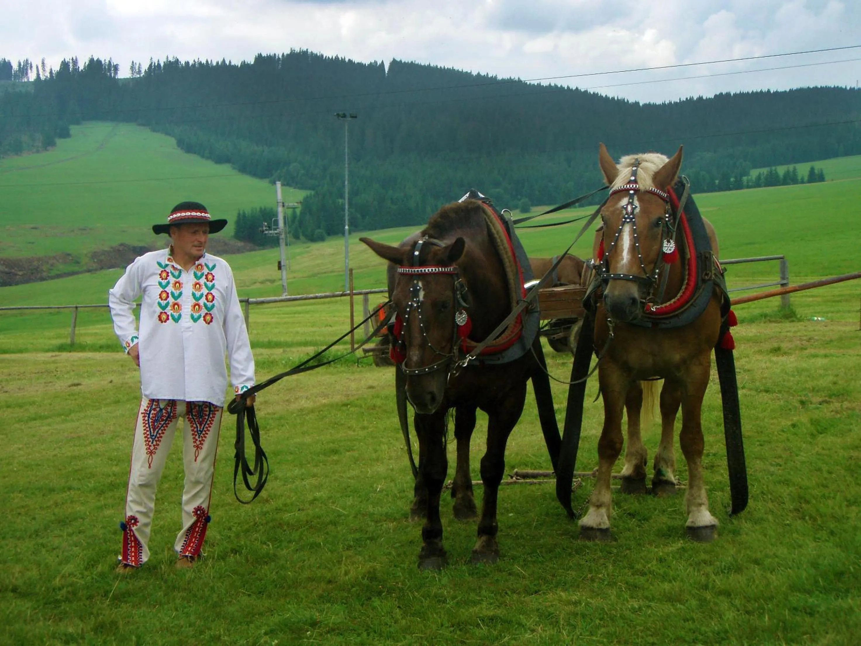 Area and facilities in Grand Hotel**** Bachledka Strachan