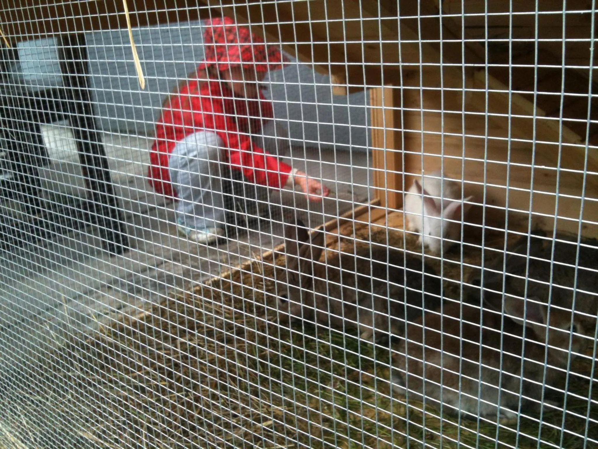 Area and facilities in Grand Hotel**** Bachledka Strachan