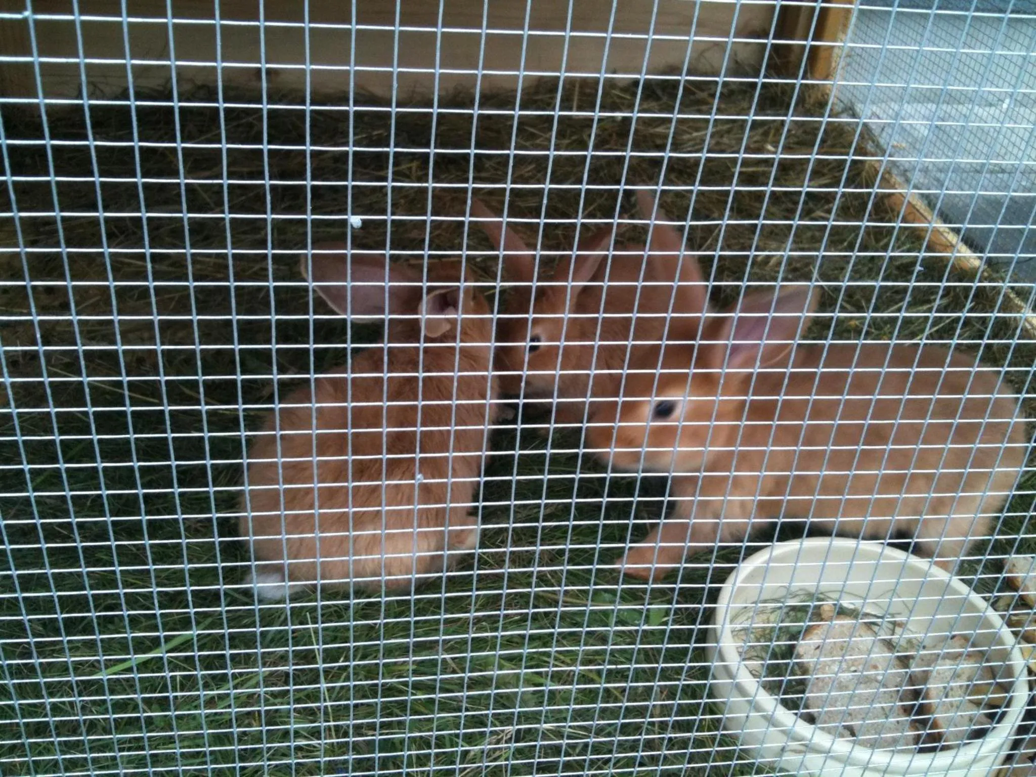 Area and facilities in Grand Hotel**** Bachledka Strachan