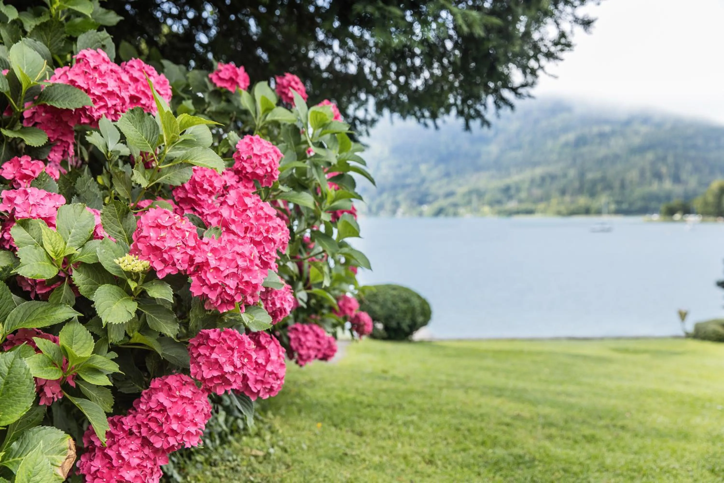 View (from property/room) in Dermuth Hotels – Parkvilla Wörth