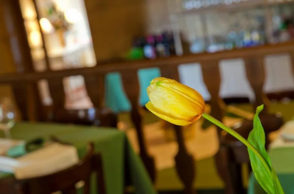 Other in A Casa da Torre Branca