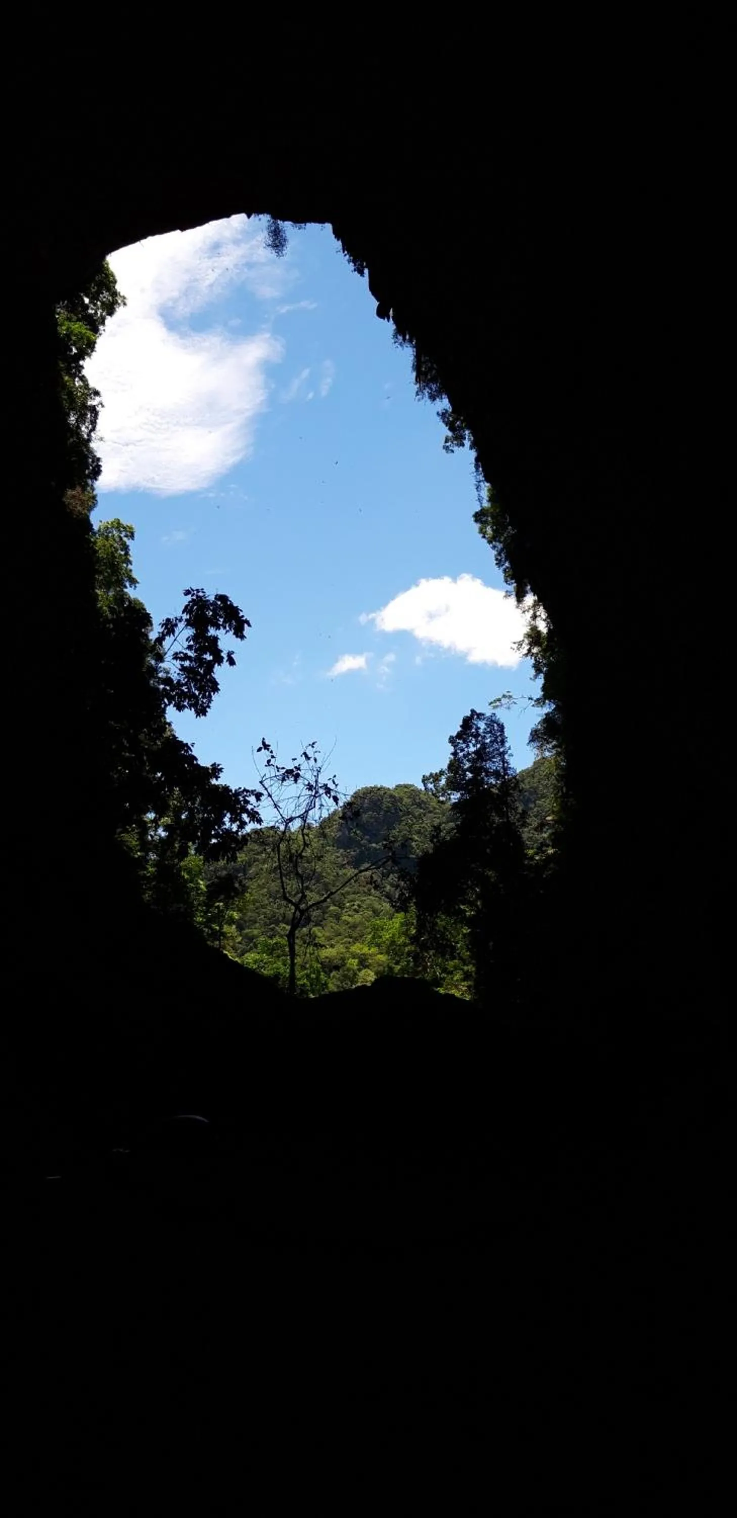 Hiking in Carambola Bungalow