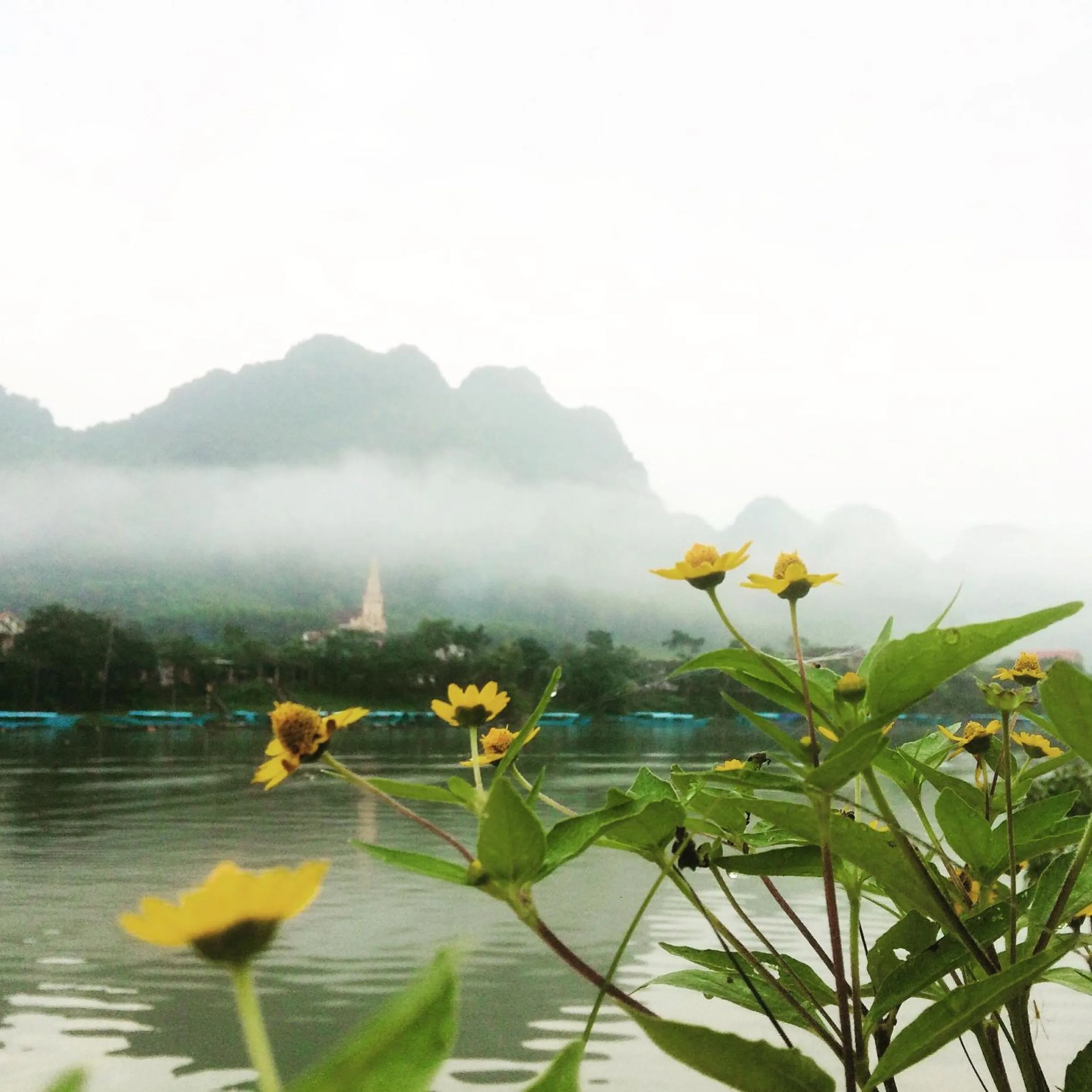 Bird's eye view in Carambola Bungalow