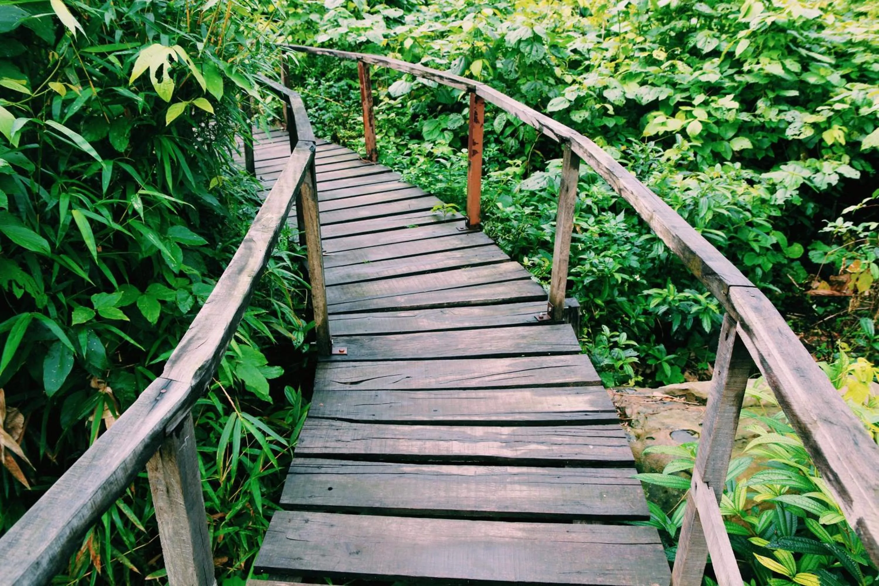 Spring in Carambola Bungalow