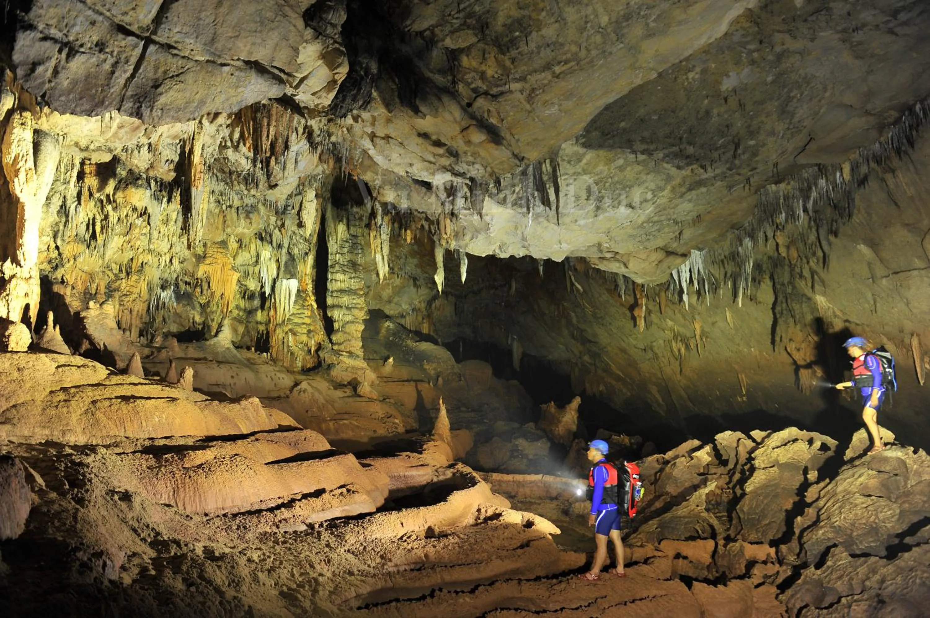 Natural landscape in Carambola Bungalow