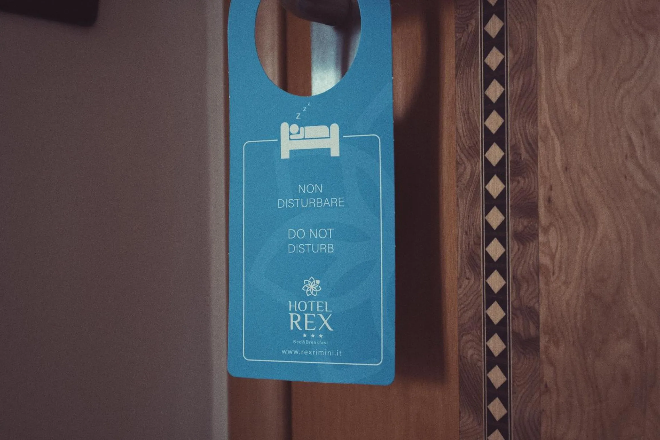 Property logo or sign in Hotel Rex Rimini