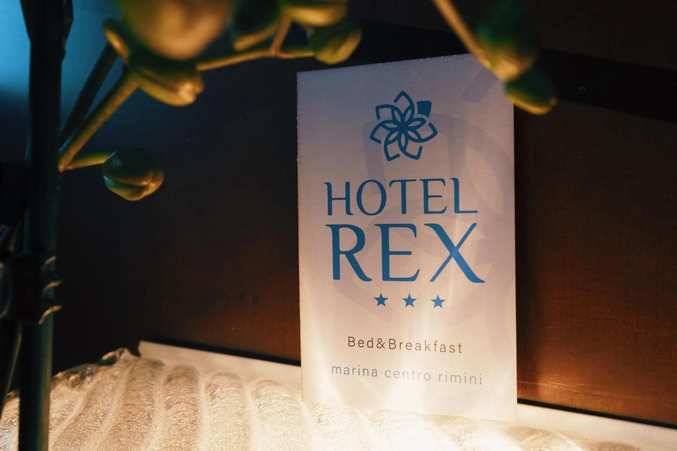 Logo/Certificate/Sign in Hotel Rex Rimini