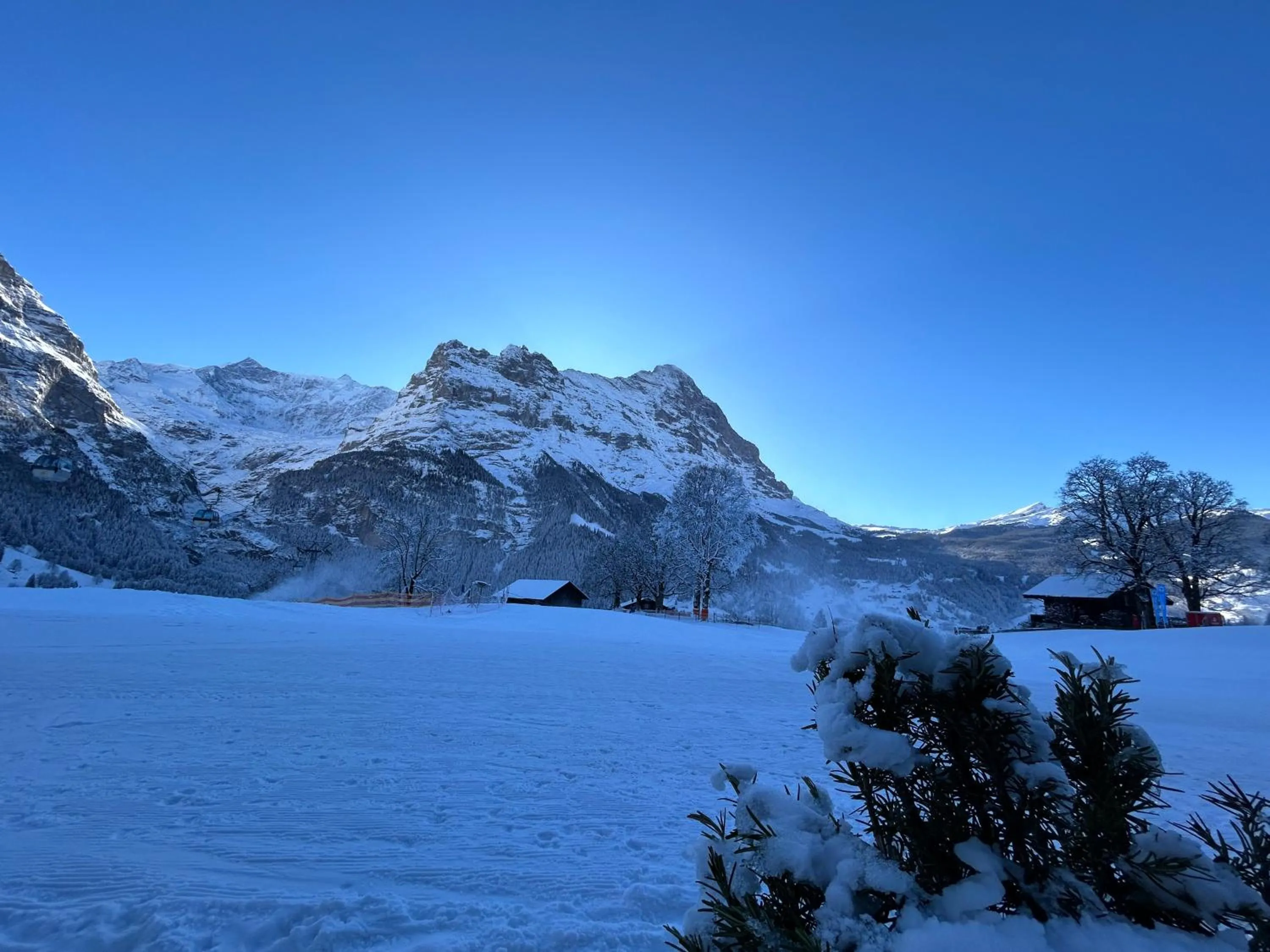 View (from property/room) in Hotel Bodmi