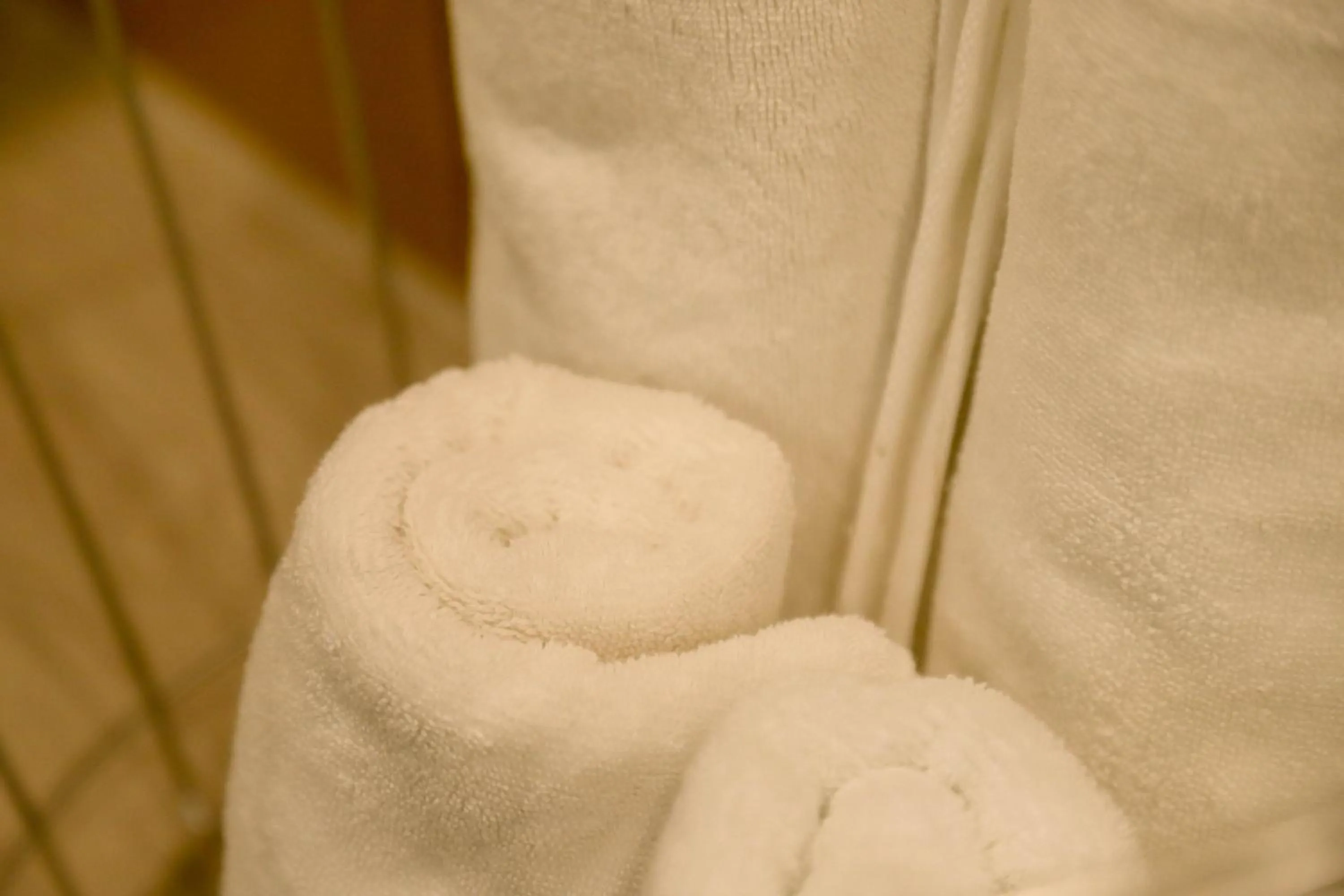 Toilet in Upflo Hostel