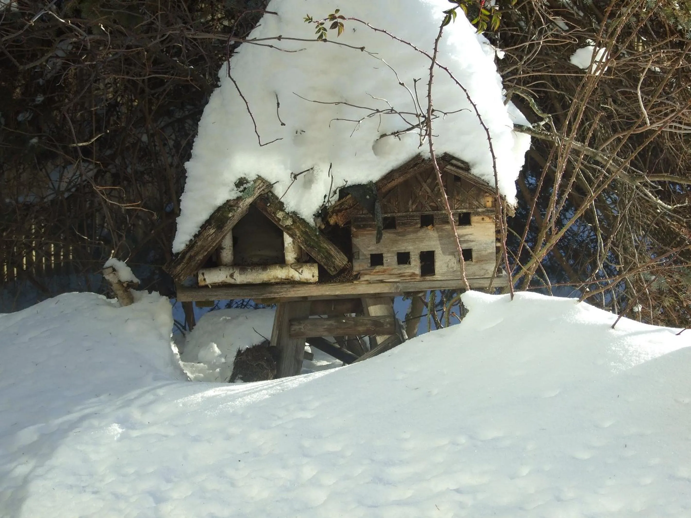 Area and facilities in Hotel Menthof