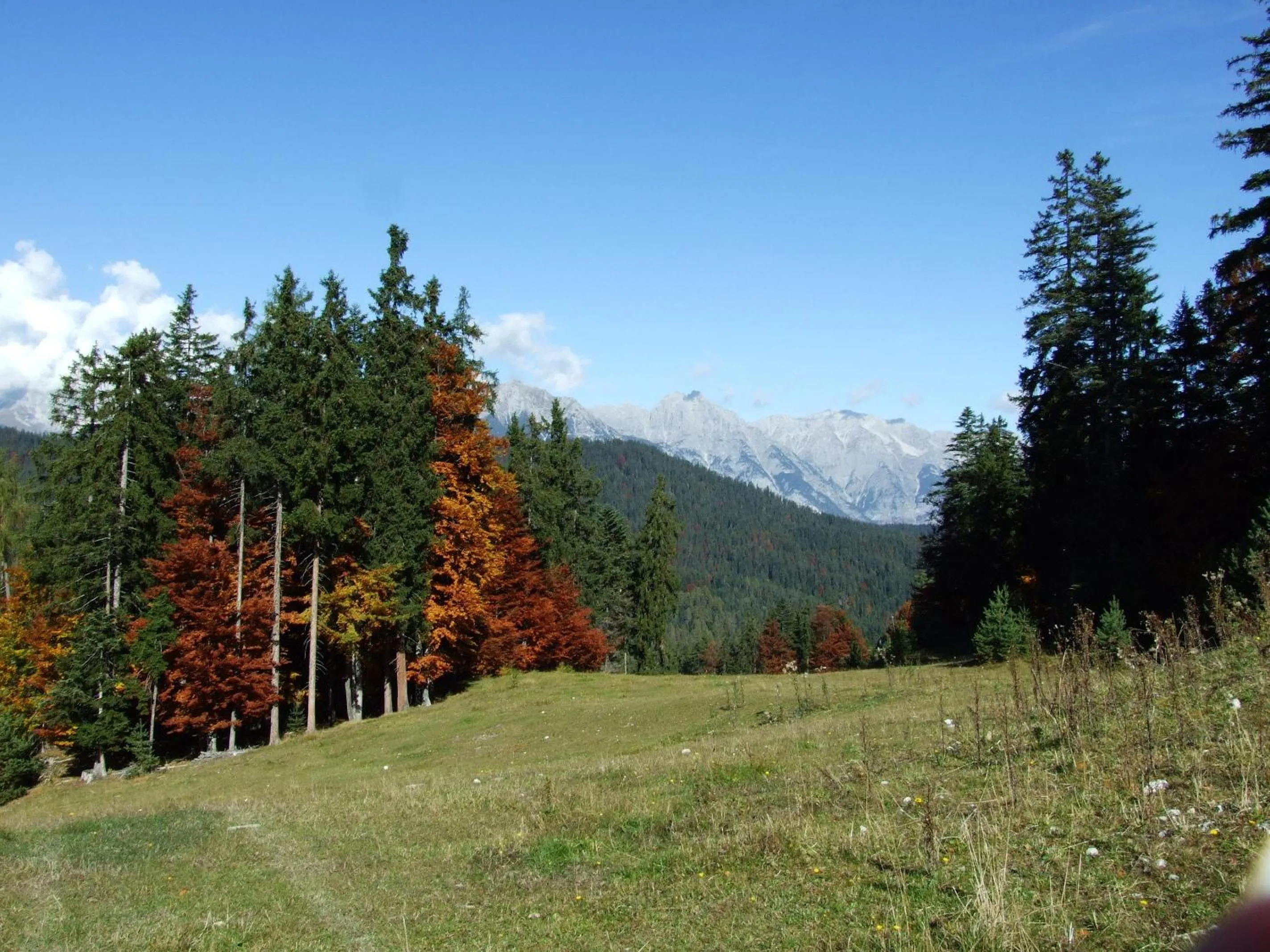 Facade/entrance in Hotel Menthof