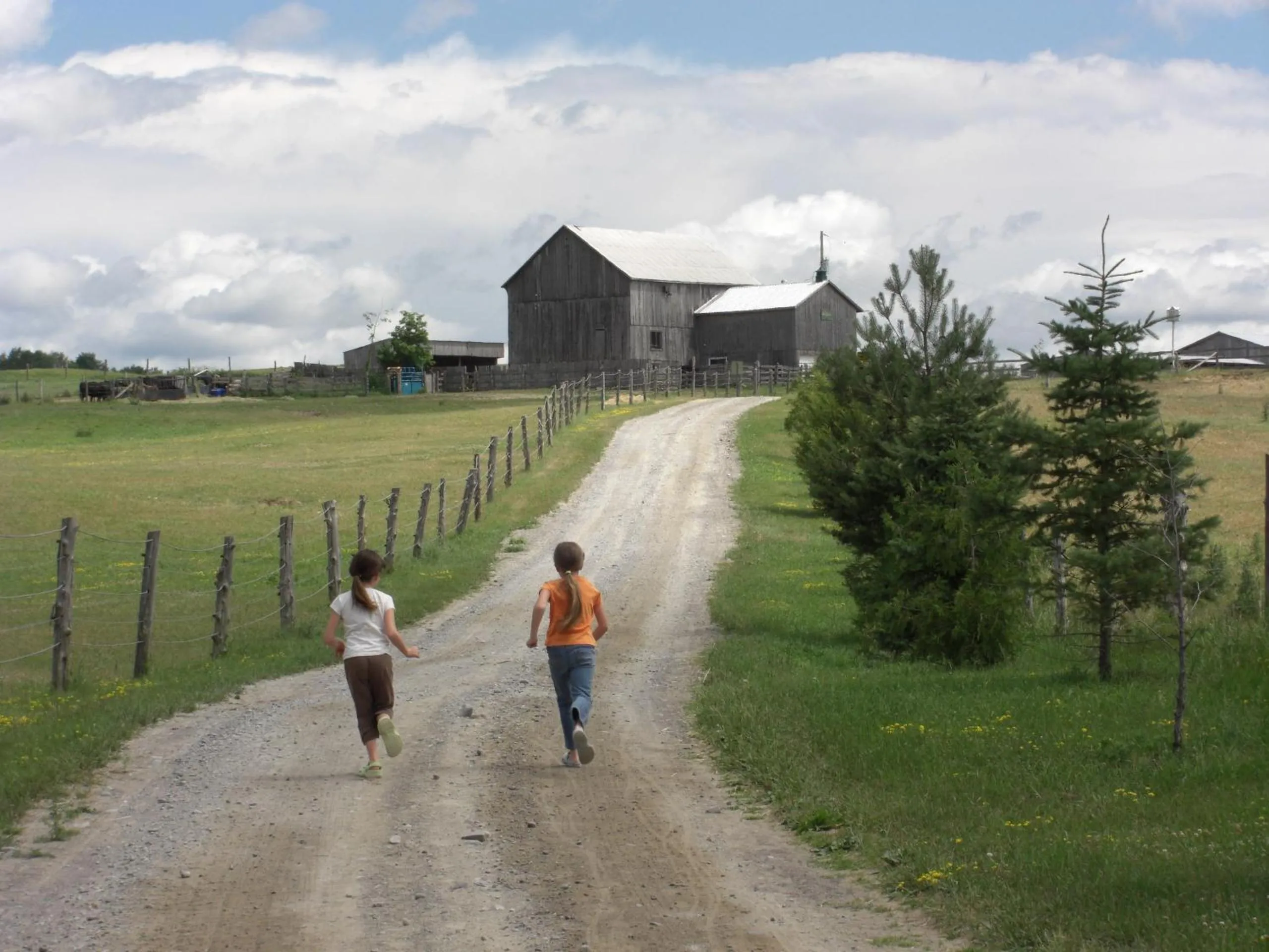 Horse-riding in Elmhirst's Resort