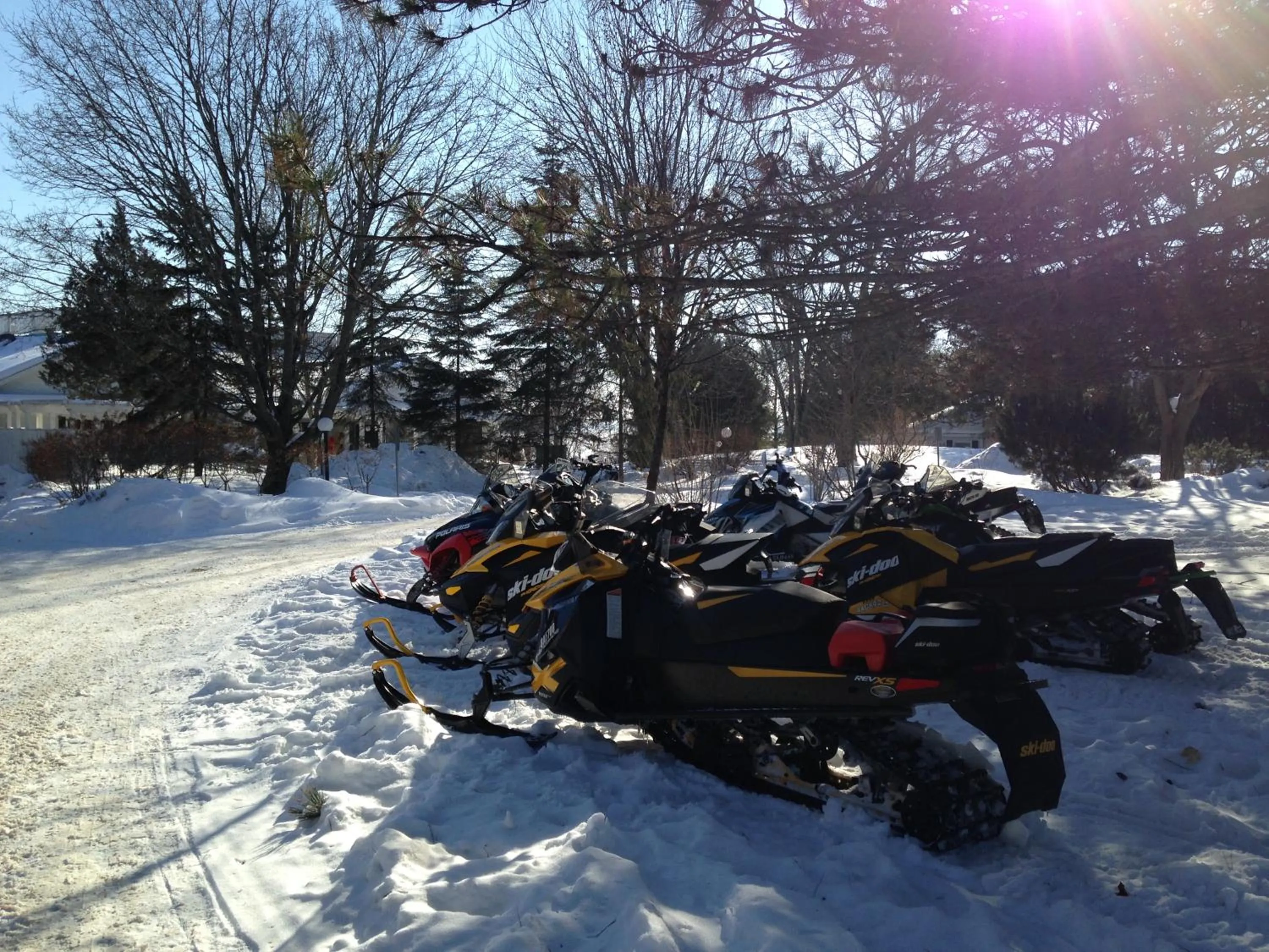 Sports in Elmhirst's Resort