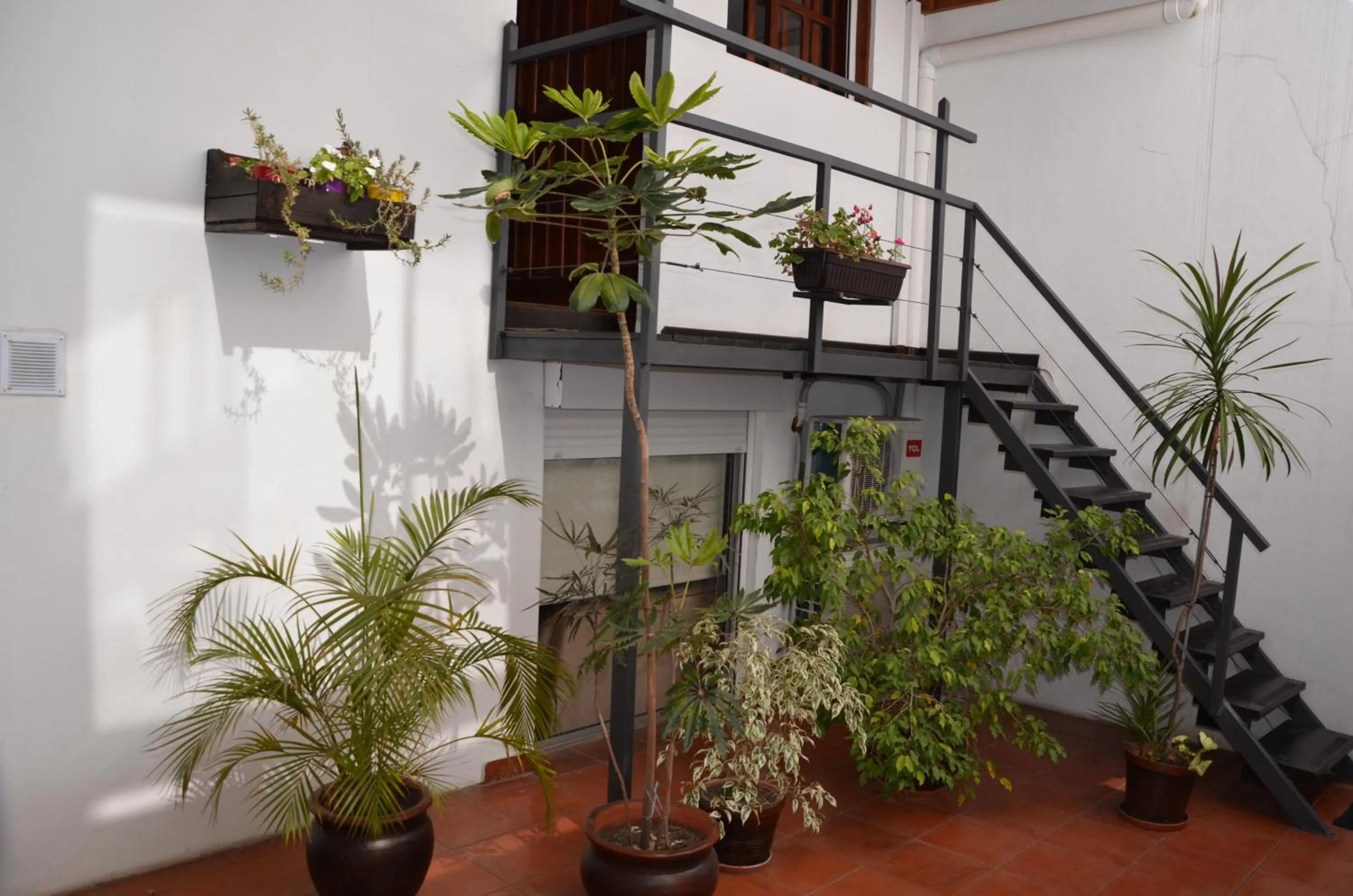 Garden in Hotel Romi