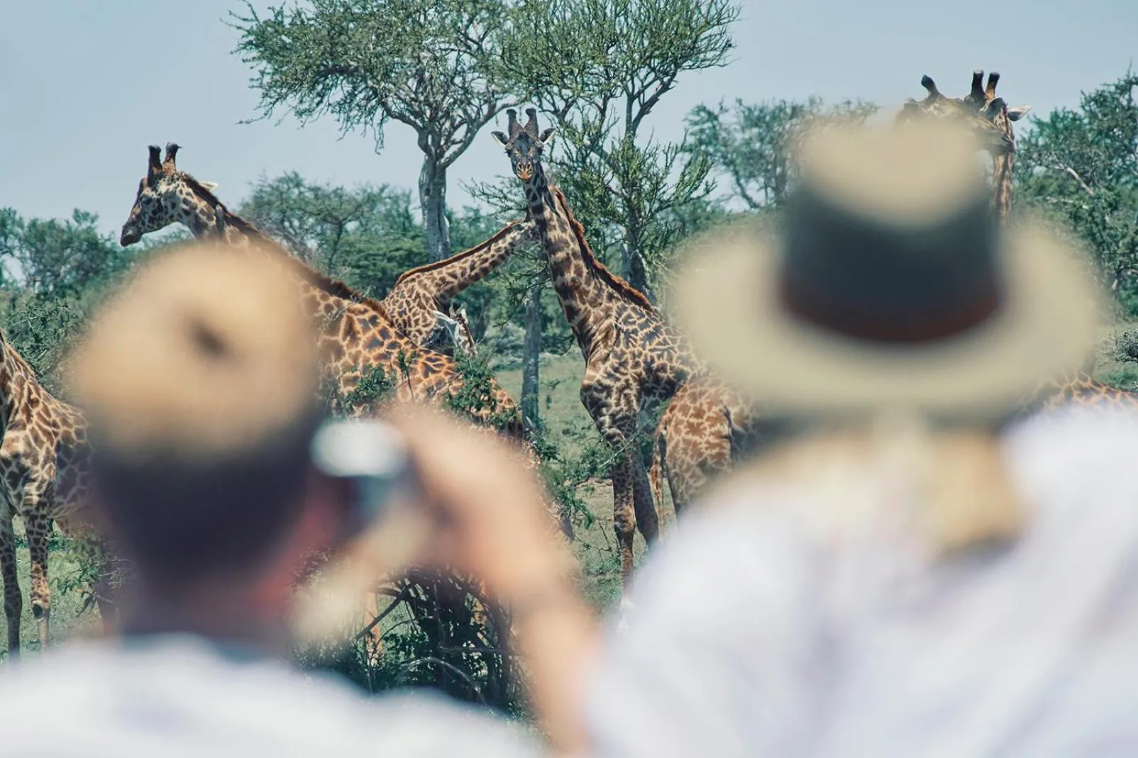 Activities in Olarro Plains