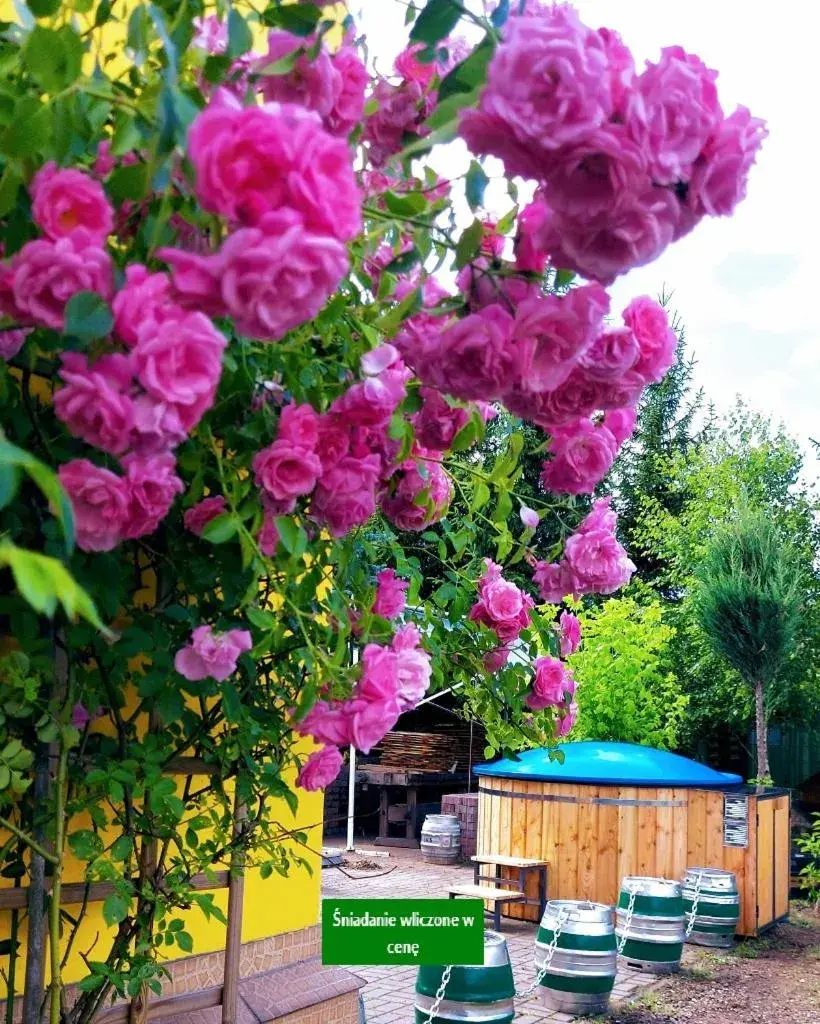 Willa Zamkowisko Willa Zamkowisko