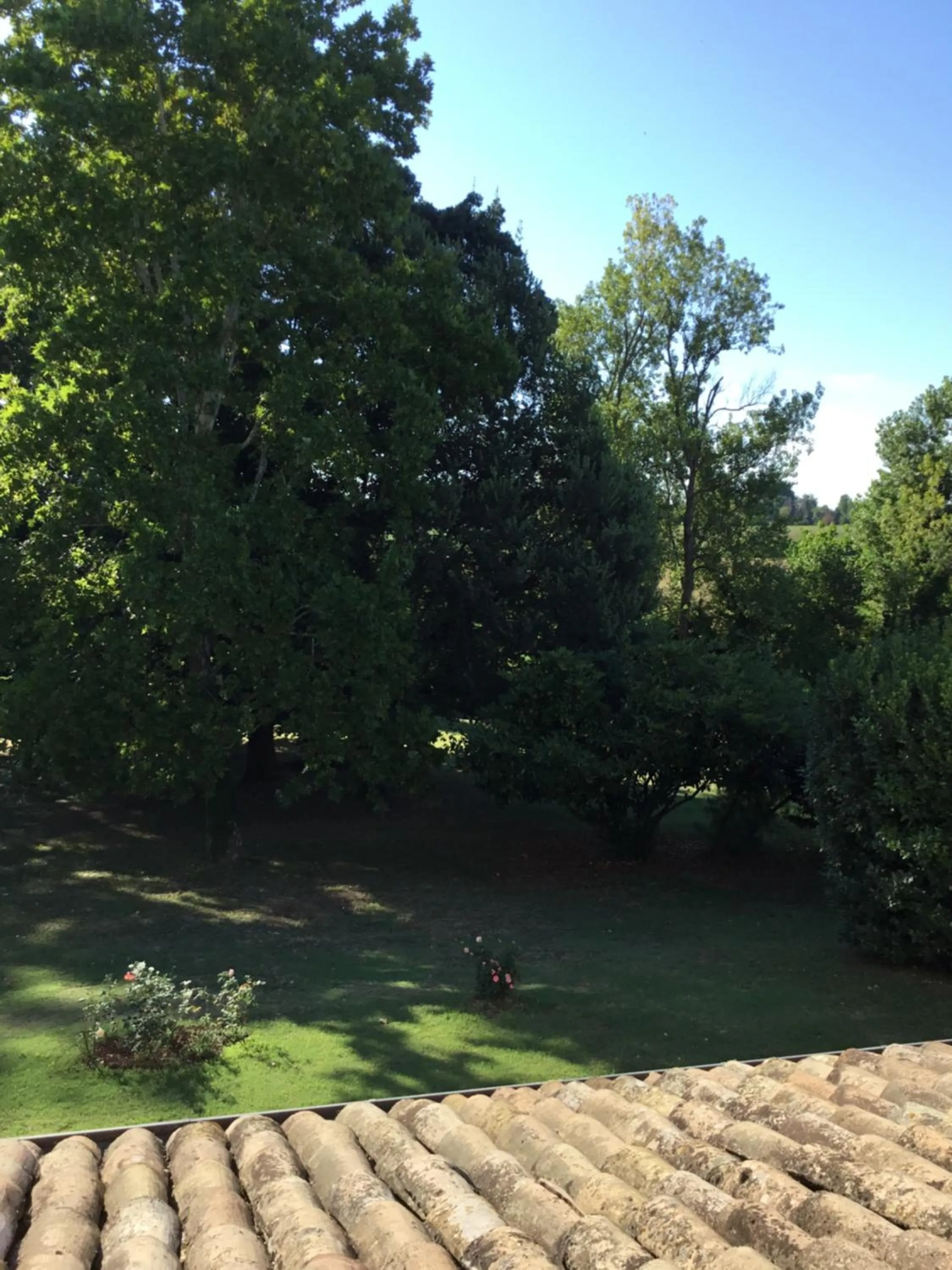 View (from property/room) in Room&Breakfast Villa Angela