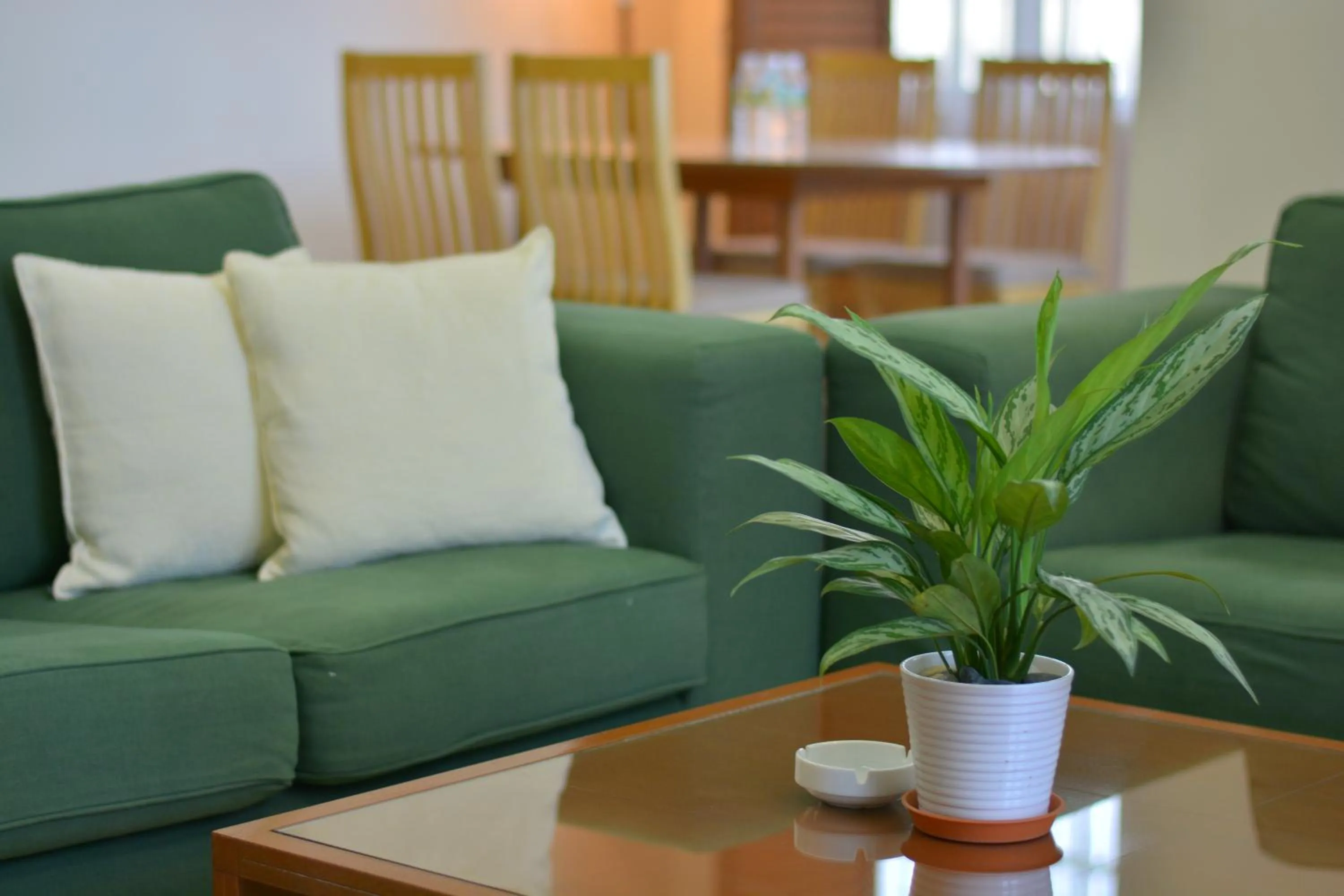 Day in The Maple Suite