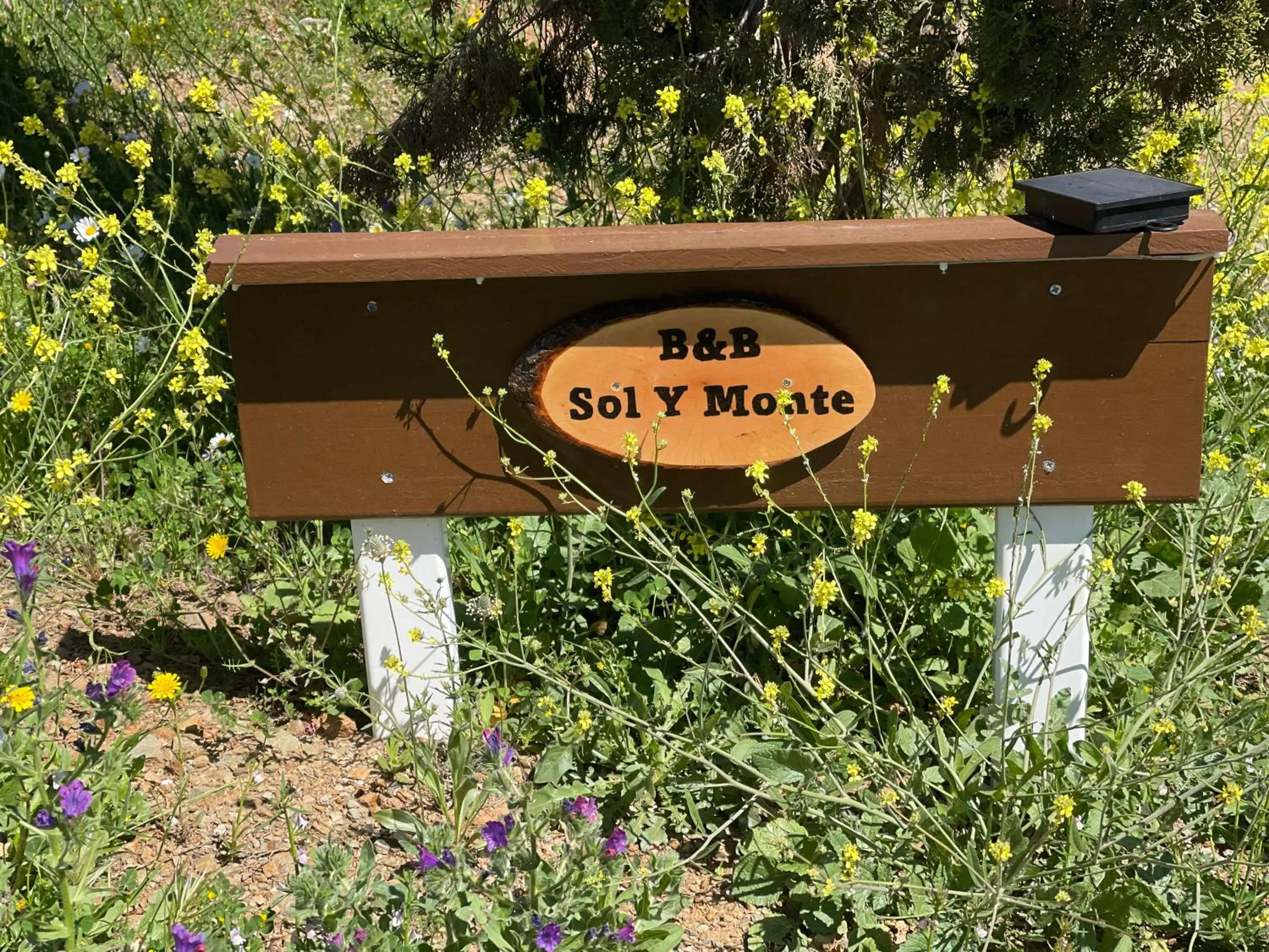 B&B Sol y Monte