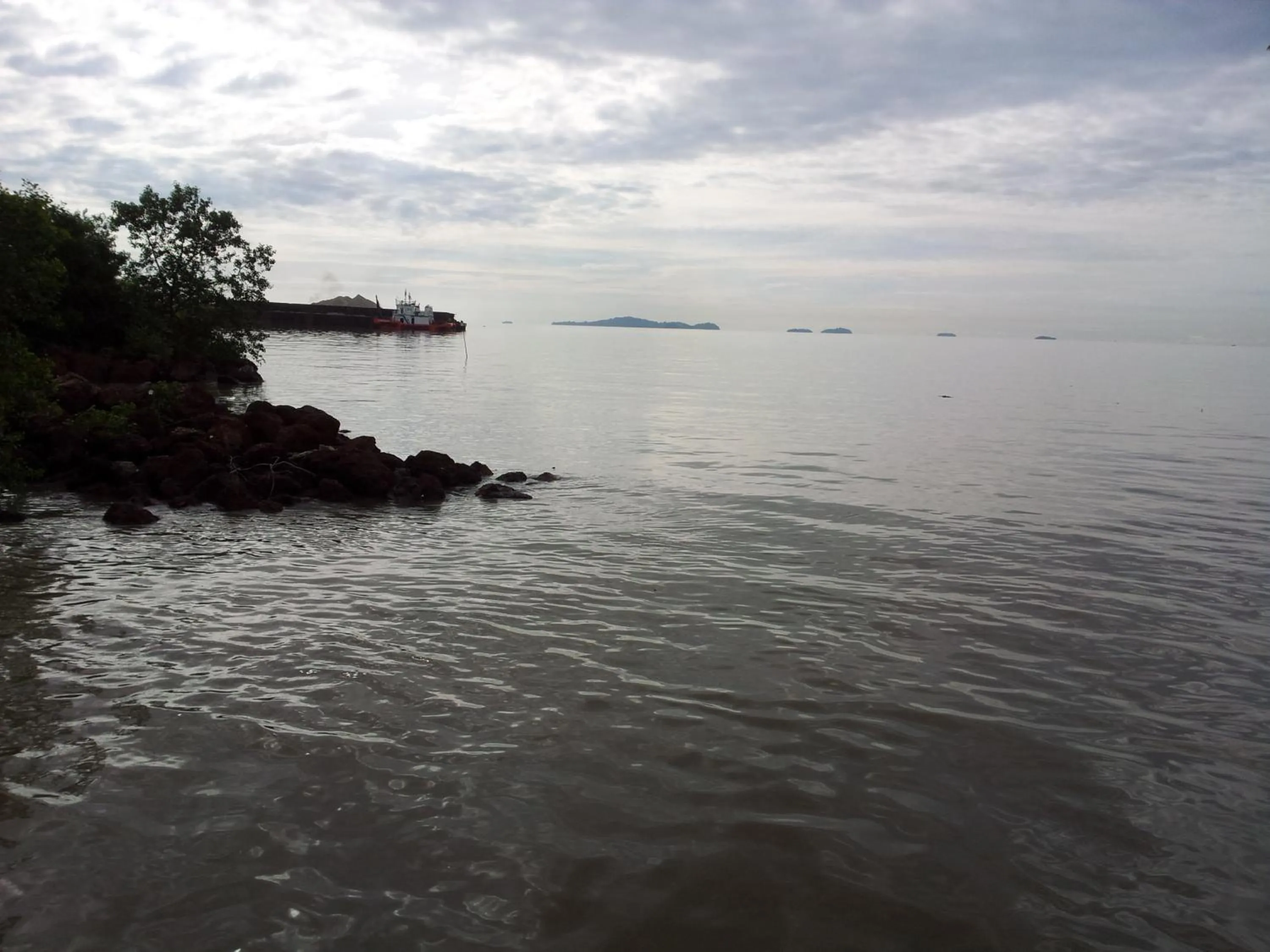 Natural landscape in Harbour Inn