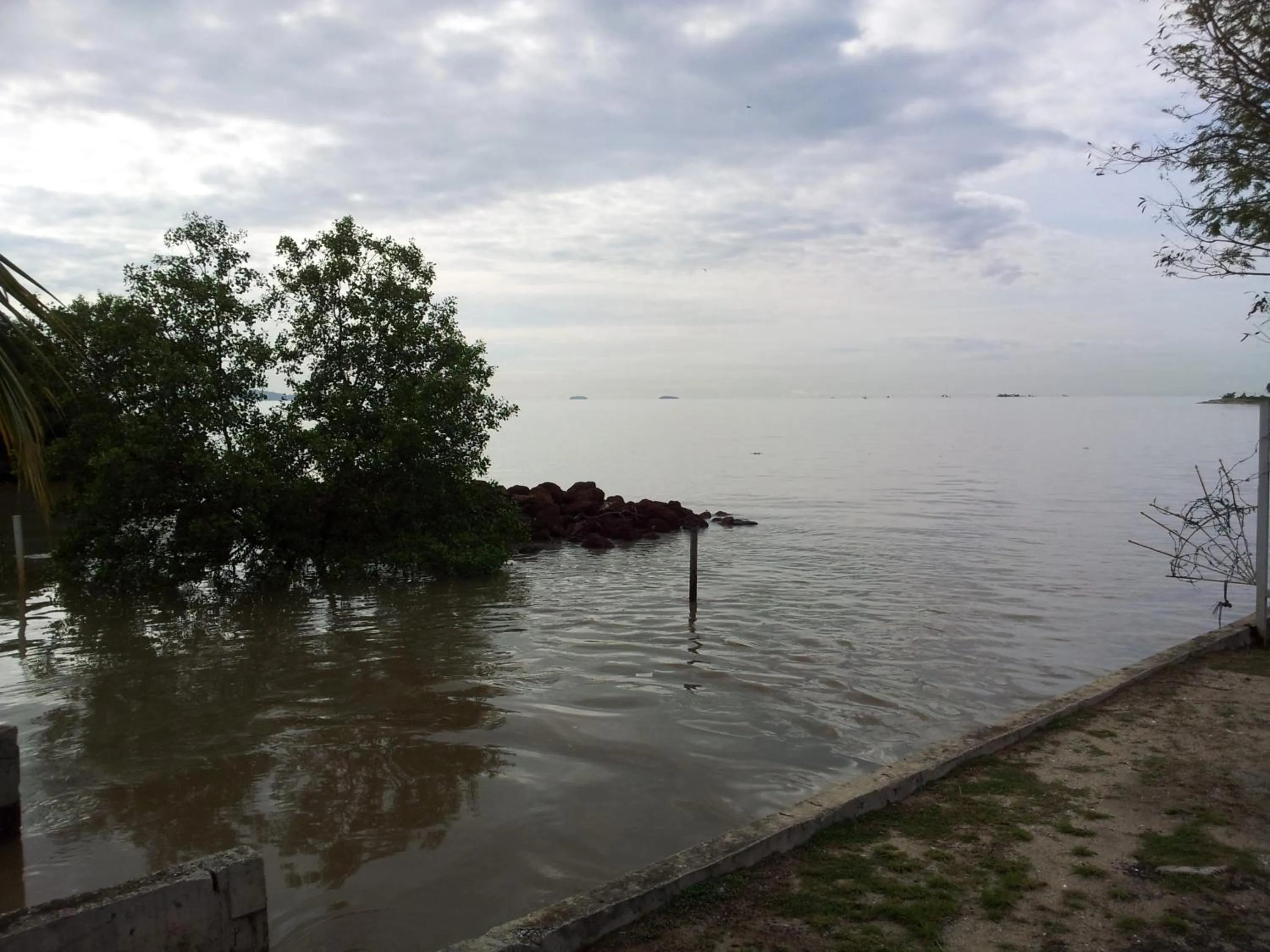 Natural landscape in Harbour Inn