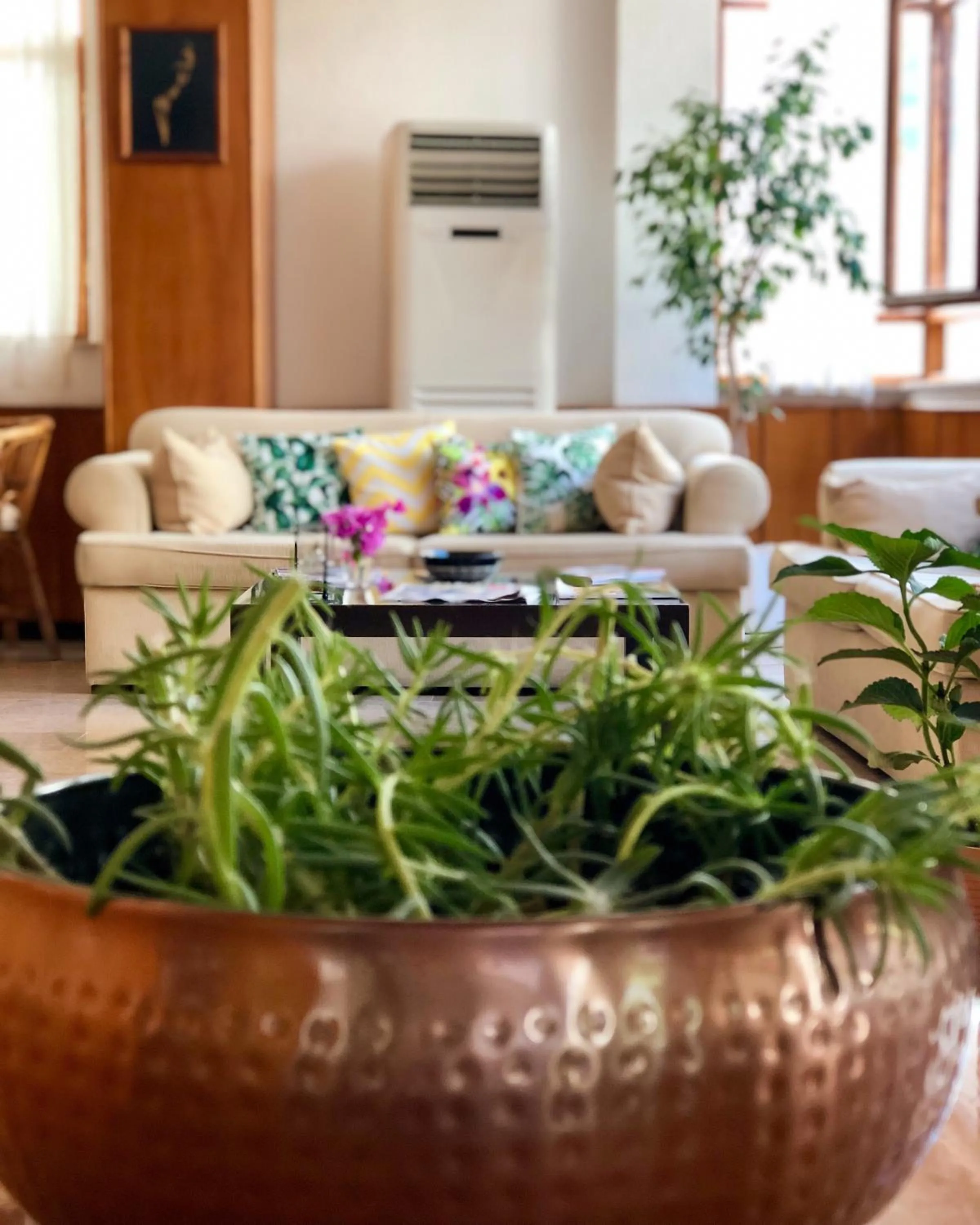 Lobby or reception in Kekova Hotel