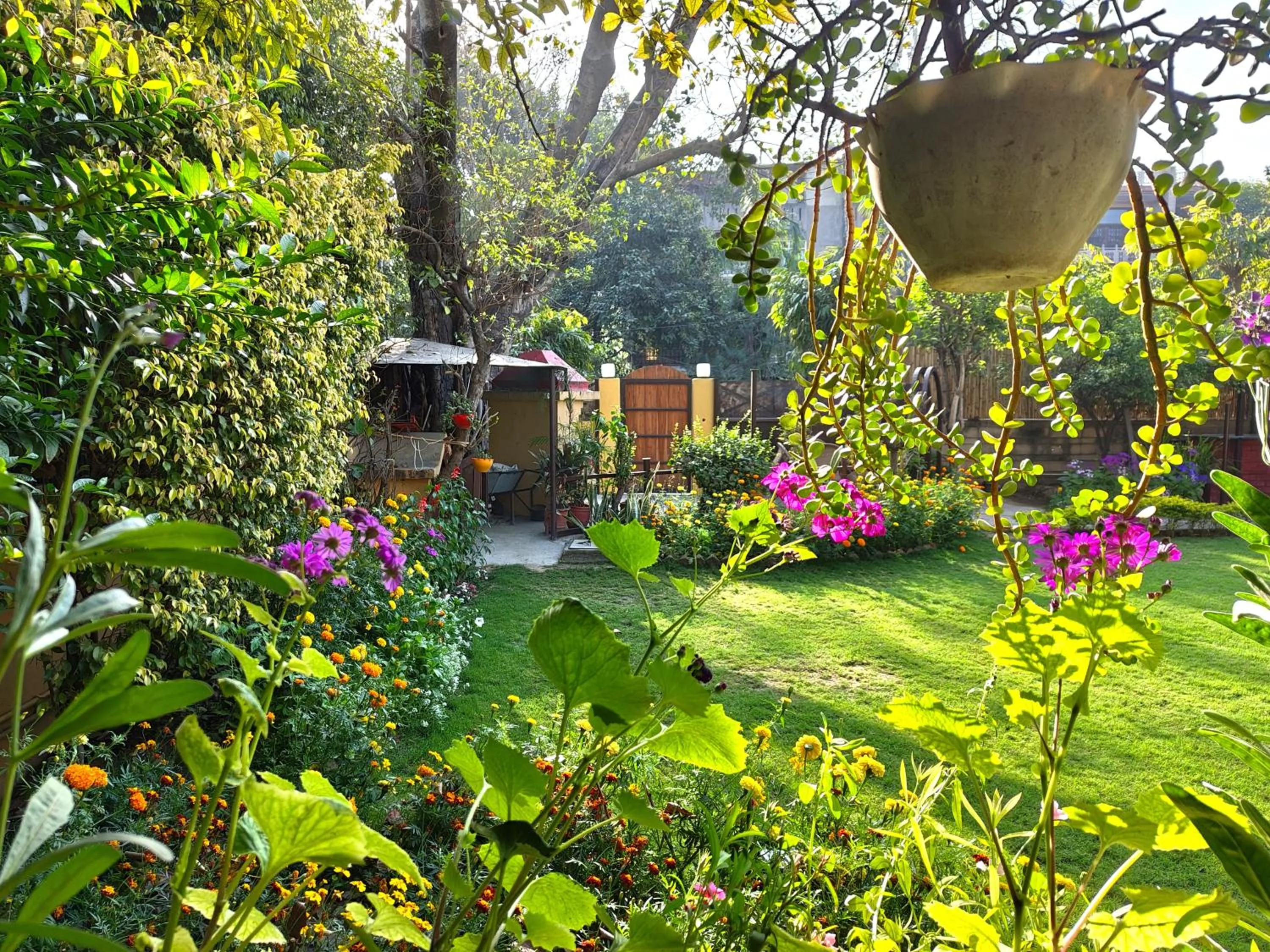 Garden in Cp Villa - Rooms with Patio