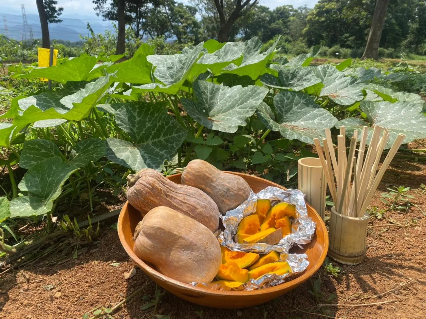 Activities in Leofoo Resort Guanshi