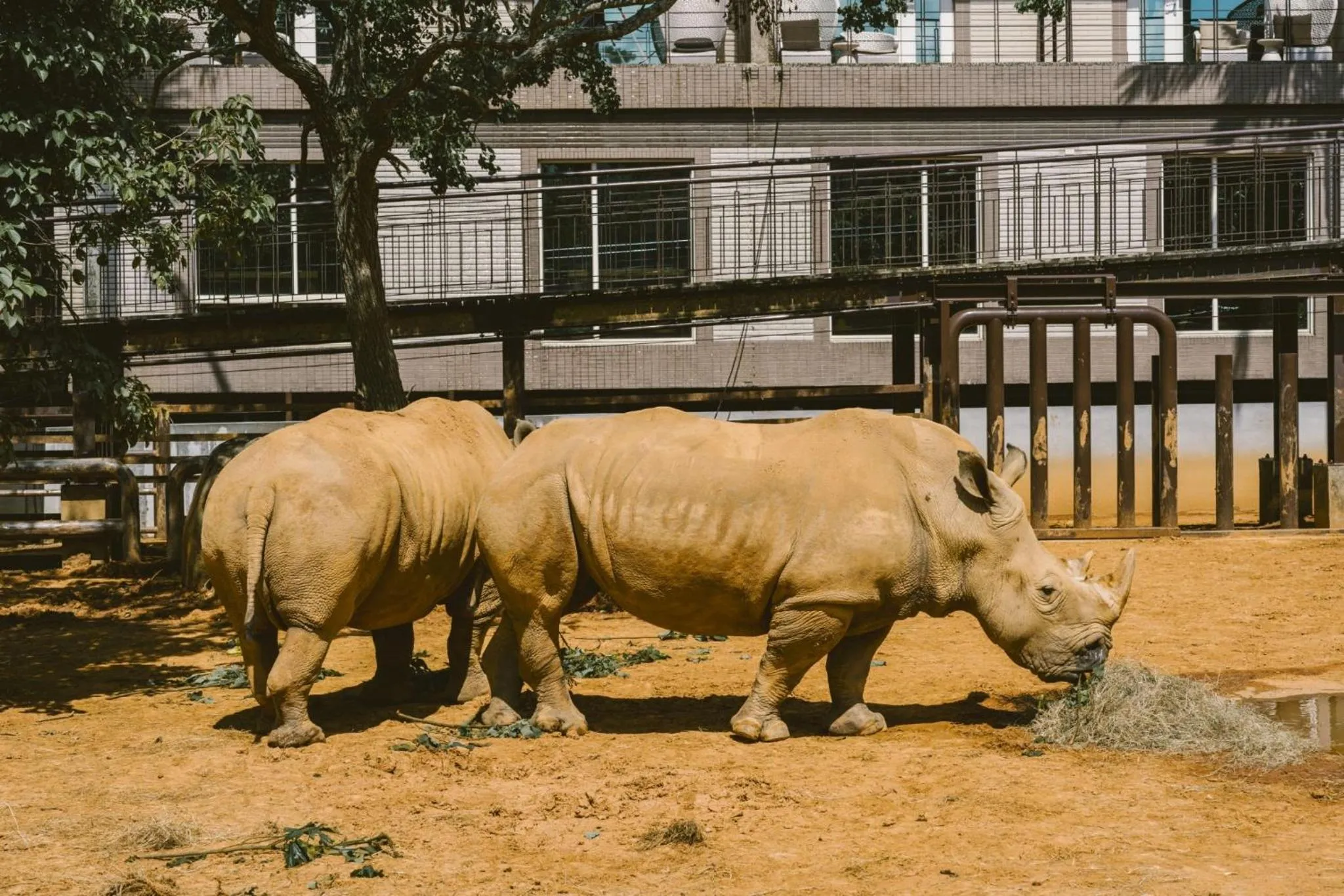 Garden view in Leofoo Resort Guanshi