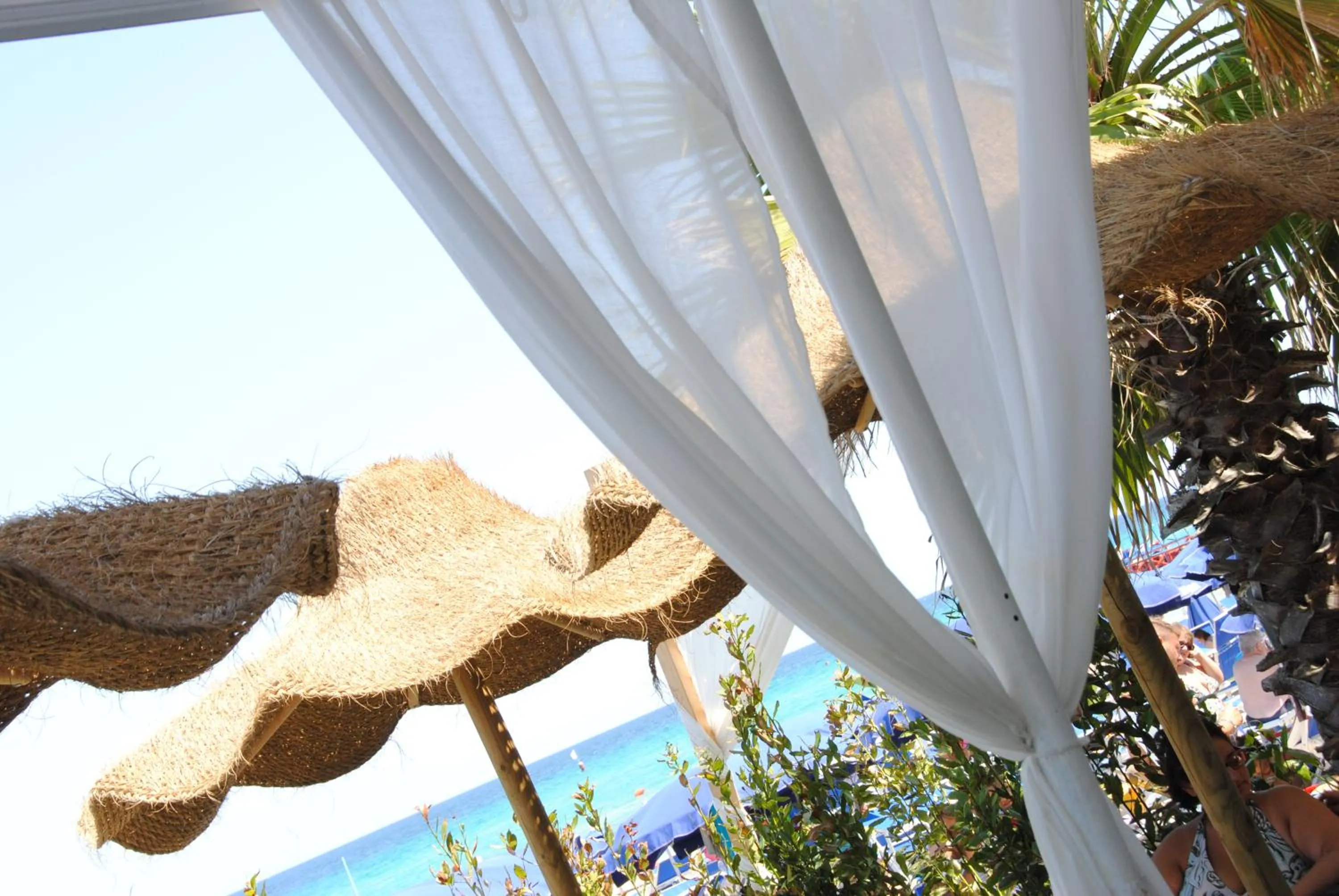 Summer in Green Paradise Resort