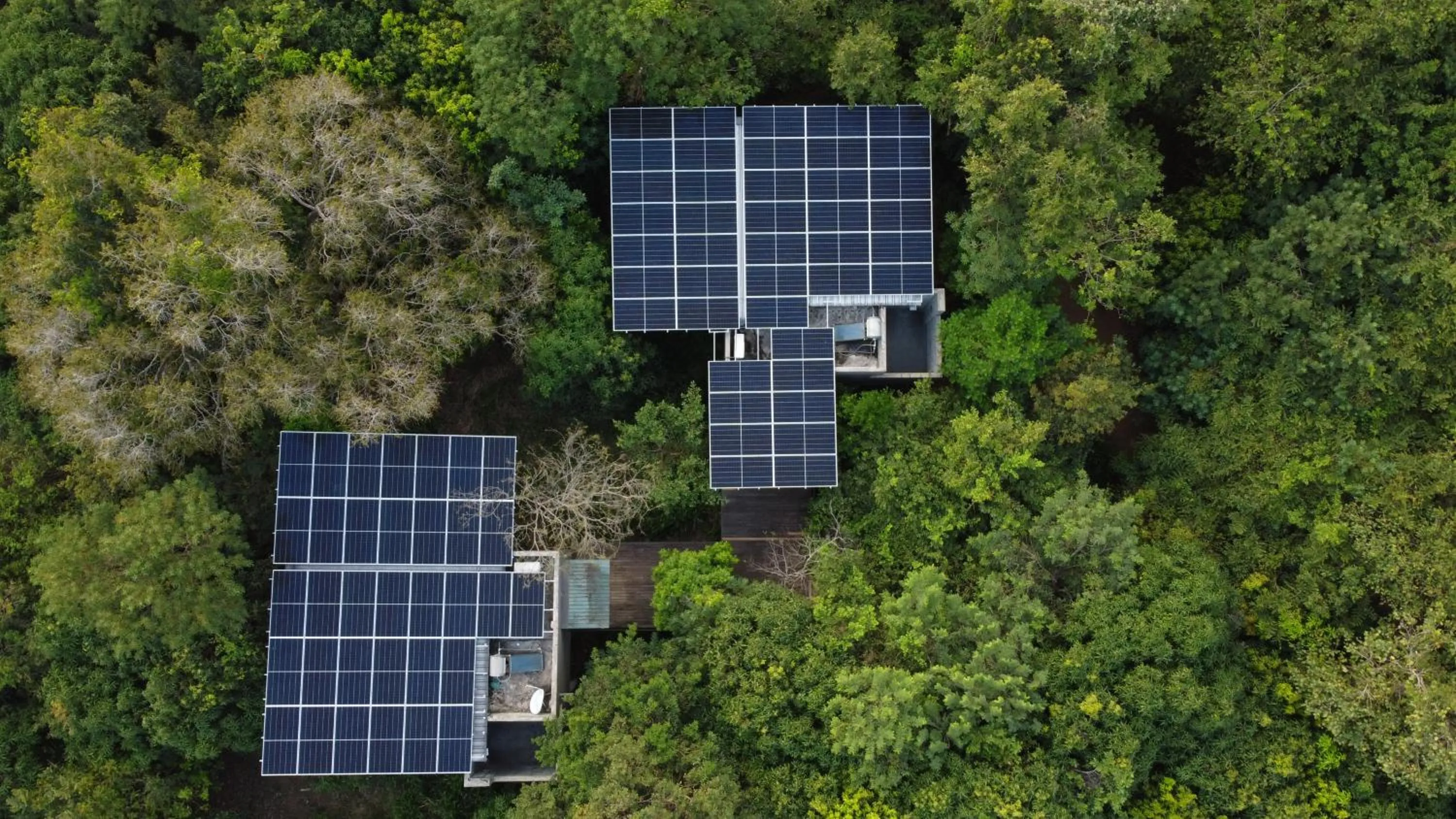 Bird's eye view in Wild Grass Nature Resort