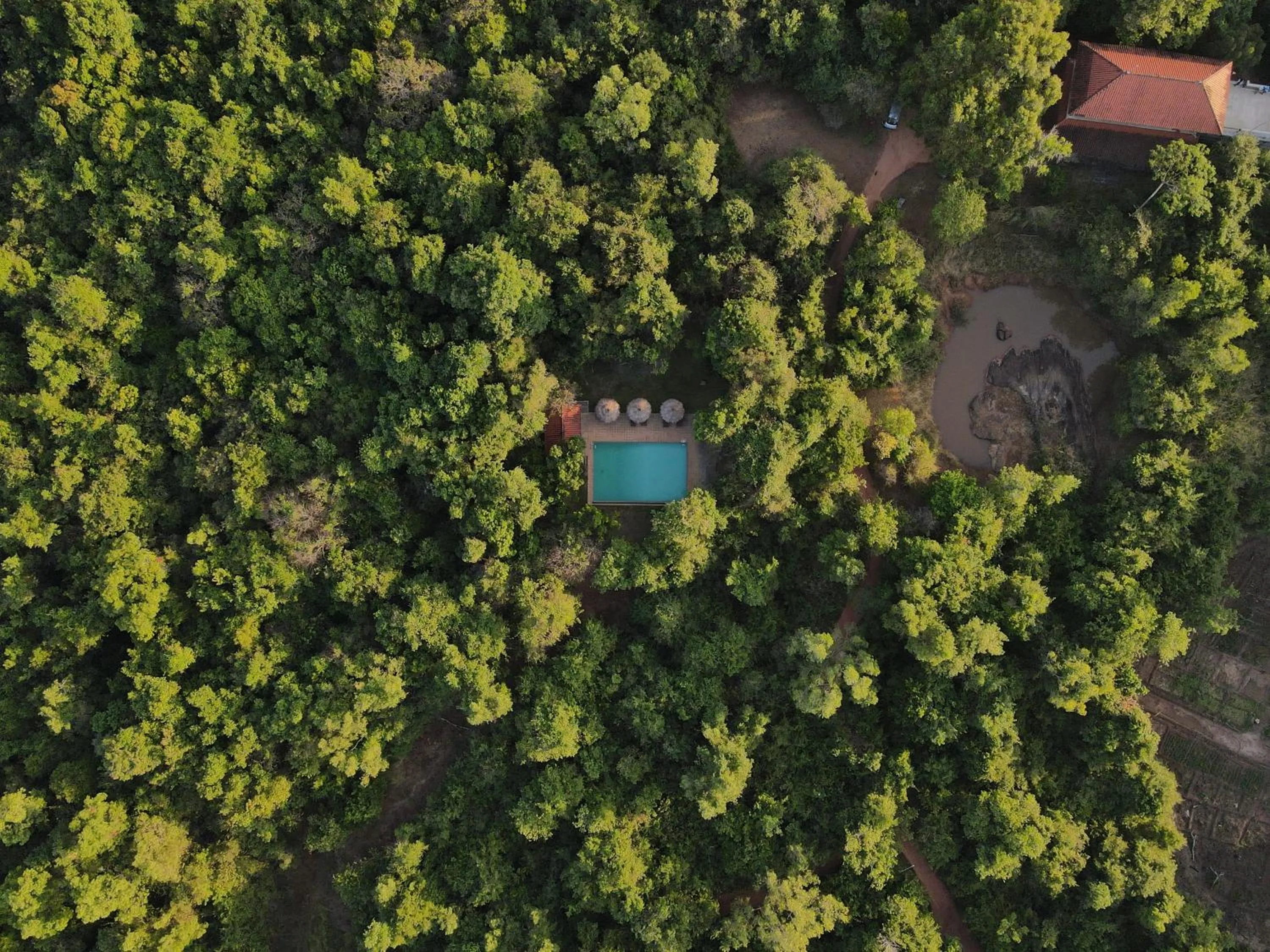 Natural landscape in Wild Grass Nature Resort