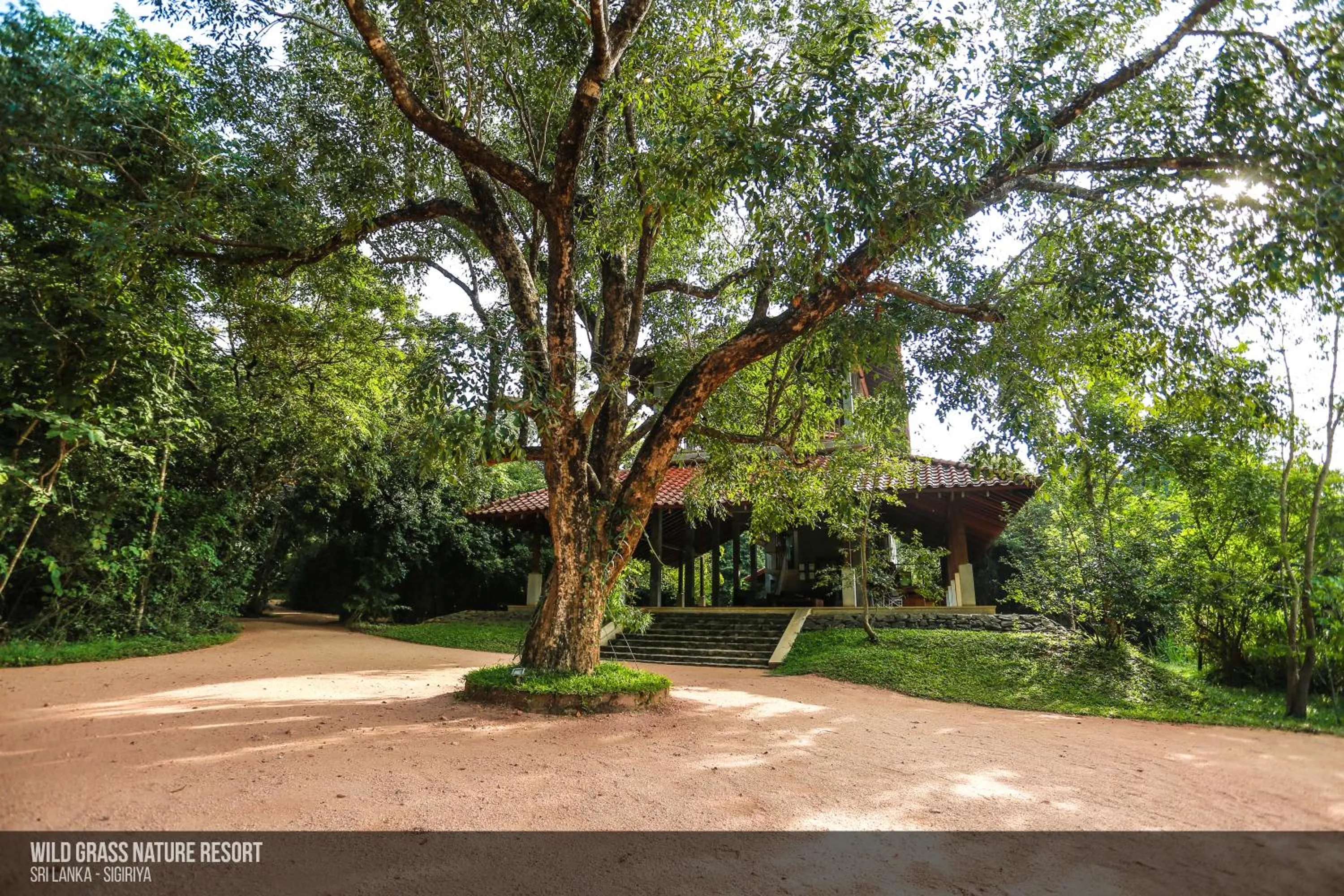 Restaurant/places to eat in Wild Grass Nature Resort