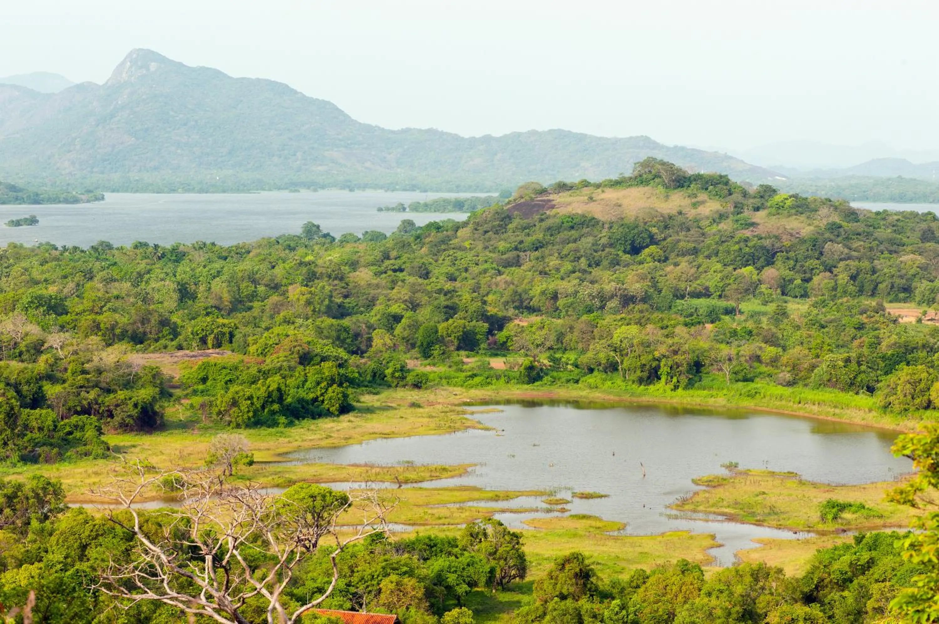 Natural landscape in Wild Grass Nature Resort