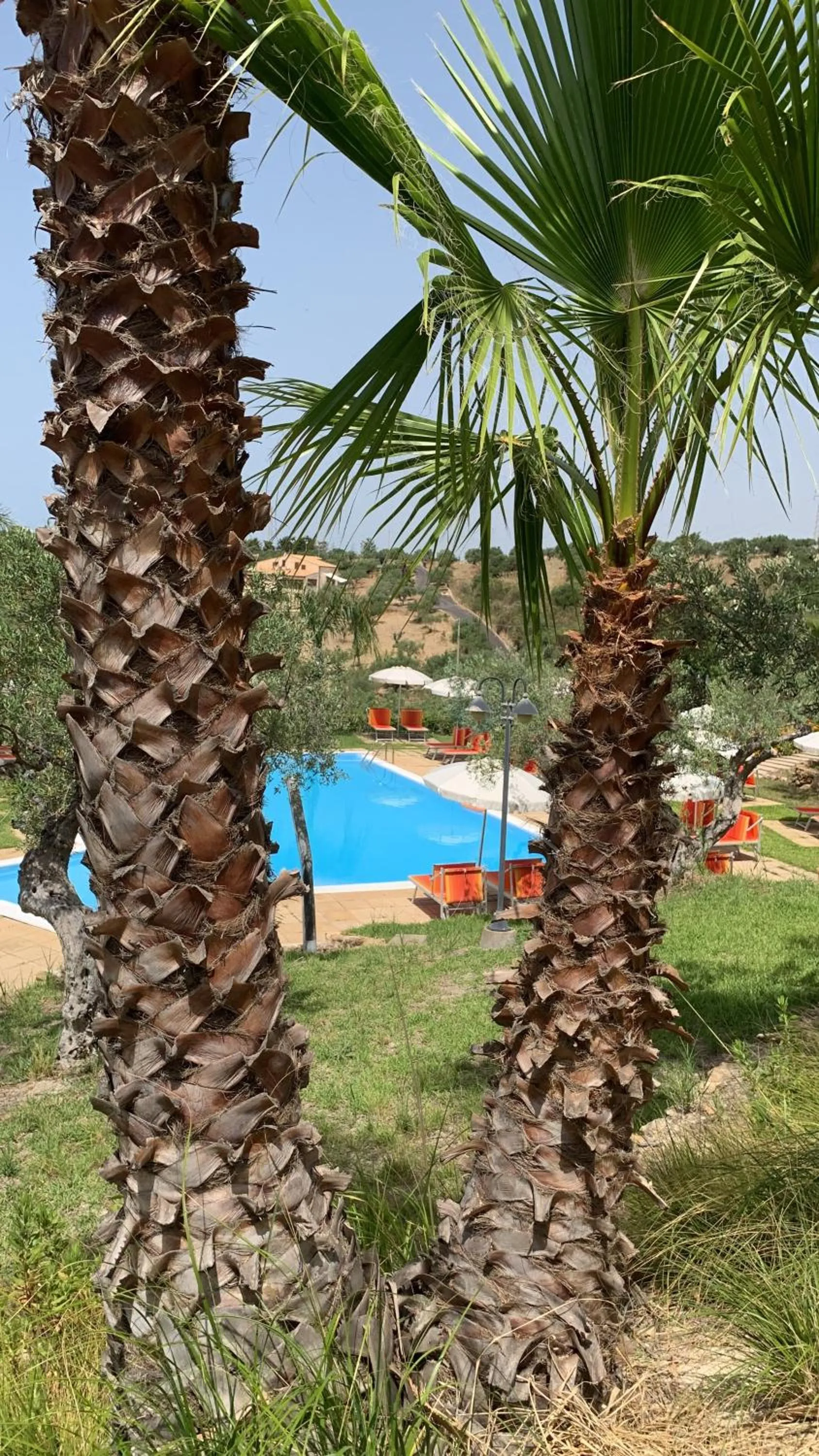 Swimming pool in Residence La Luna Nel Pozzo