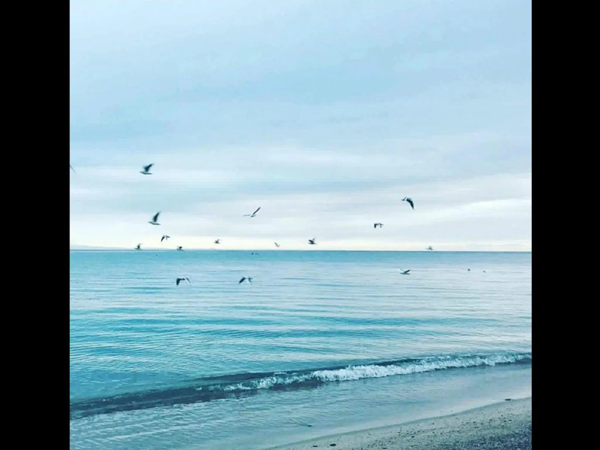 Beach in Hotel Gli Ulivi