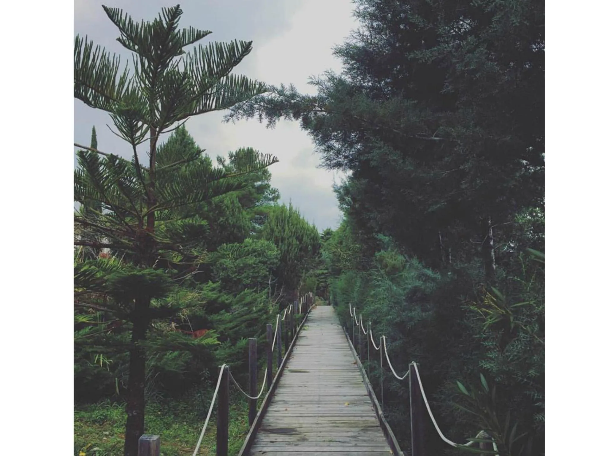 Natural landscape in Hotel Gli Ulivi