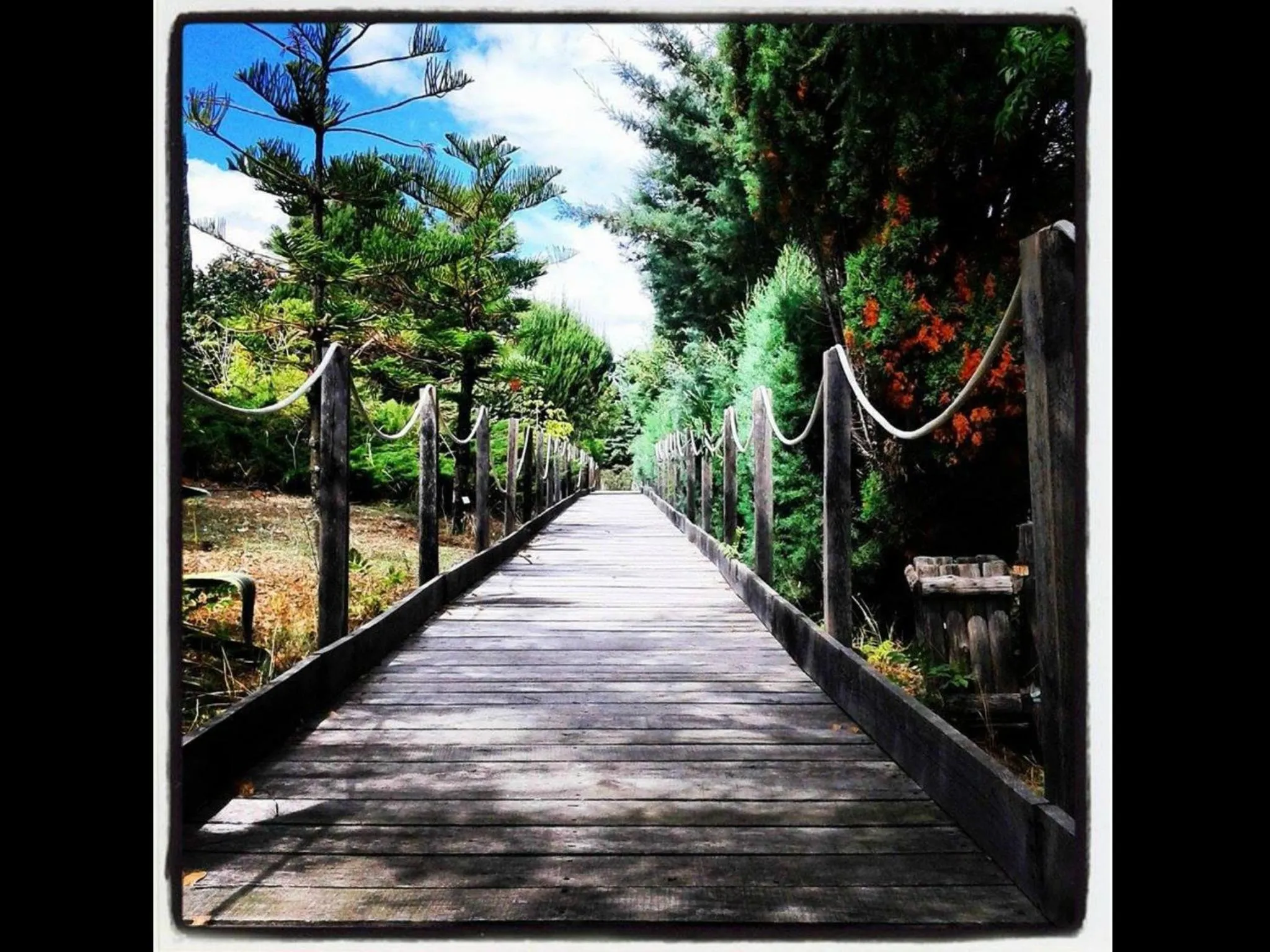 Natural landscape in Hotel Gli Ulivi
