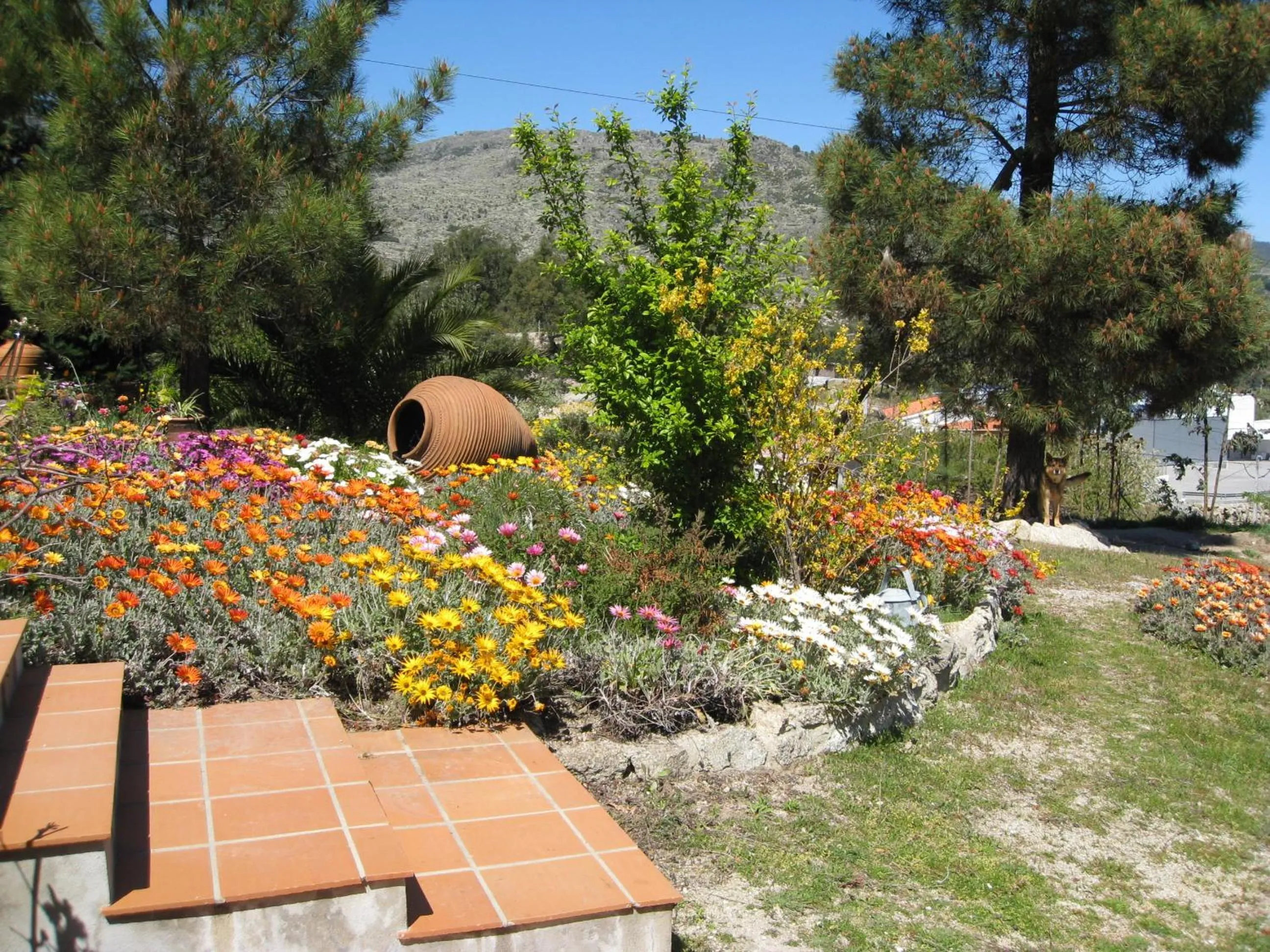 Casa "Quinta Souto da Ordem"