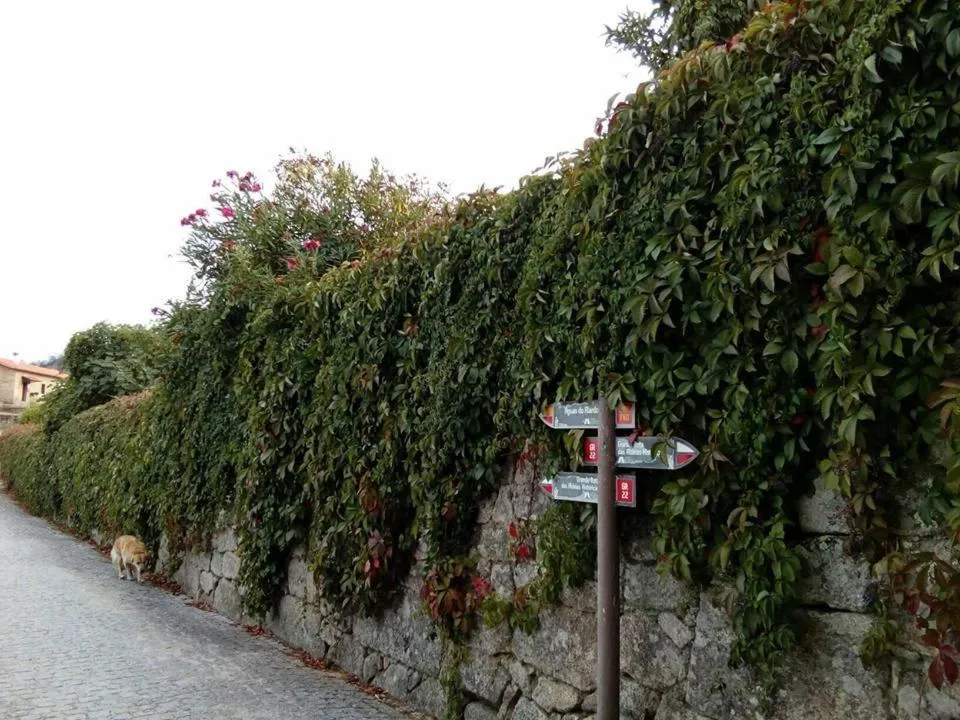 Casa "Quinta Souto da Ordem"