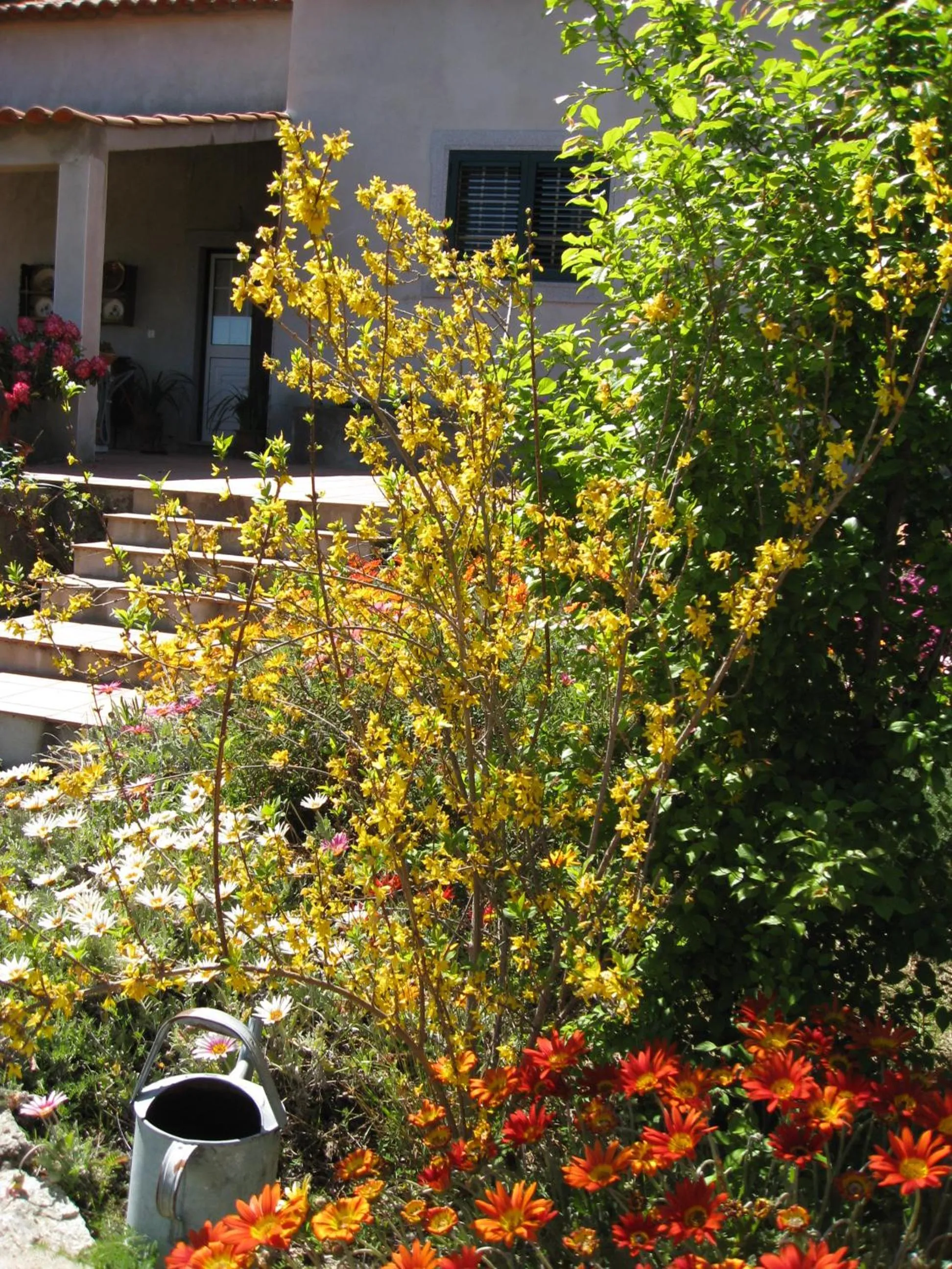 Casa "Quinta Souto da Ordem"